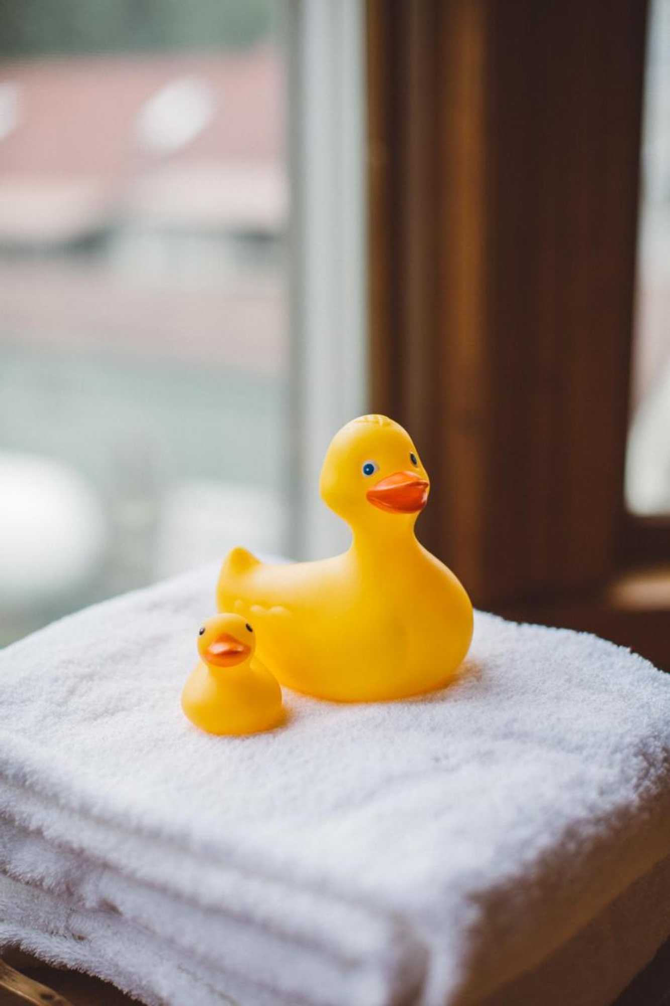 Gift card for Albergo Allegria Hotel