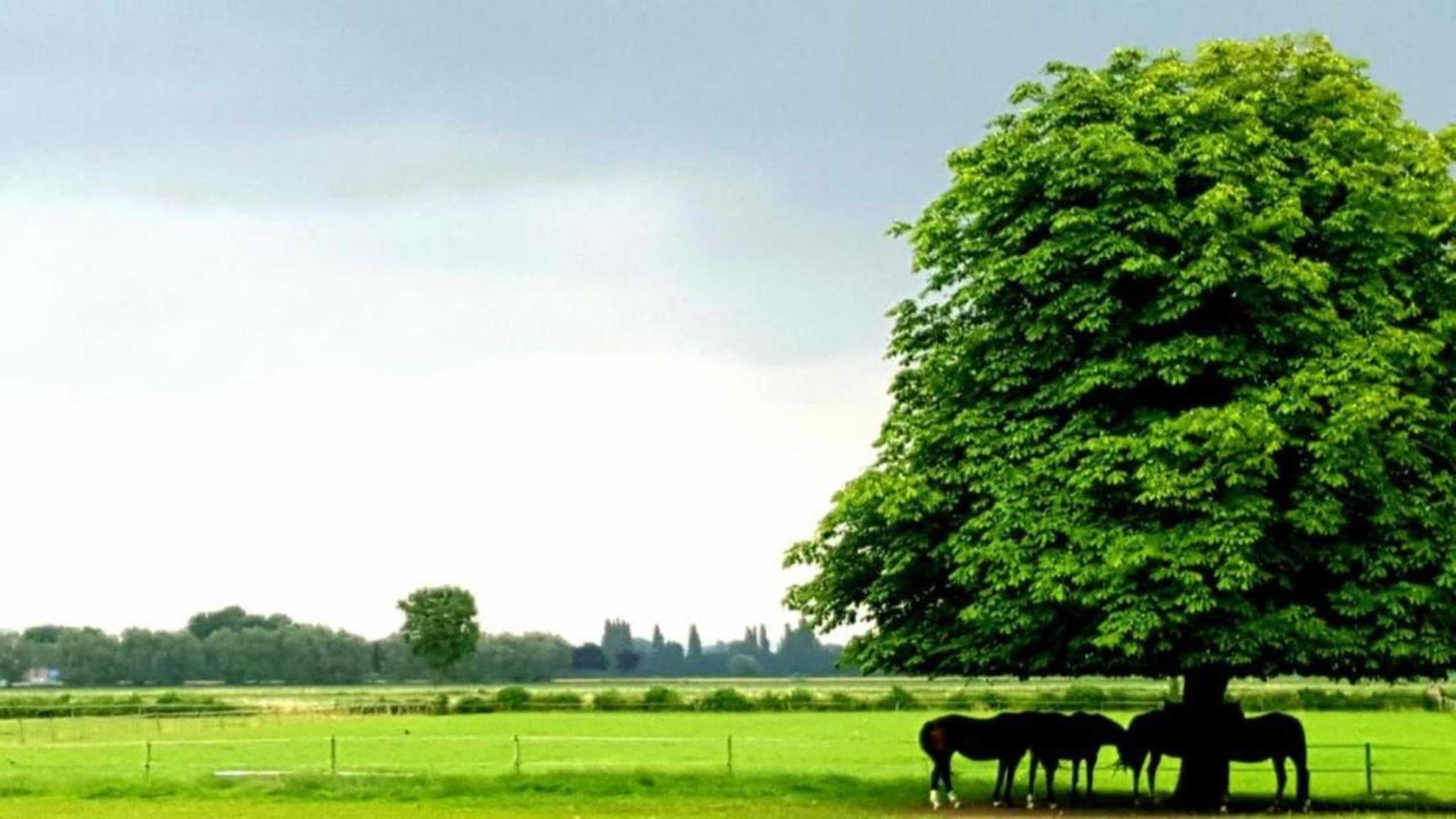 Gift card for Waard Van Kekerdom