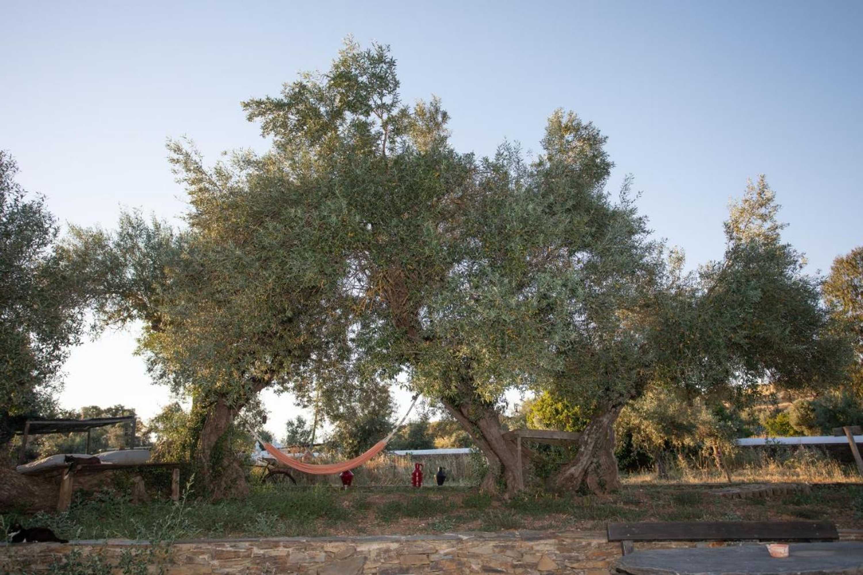 Gift card for Monte Dos Vicentes