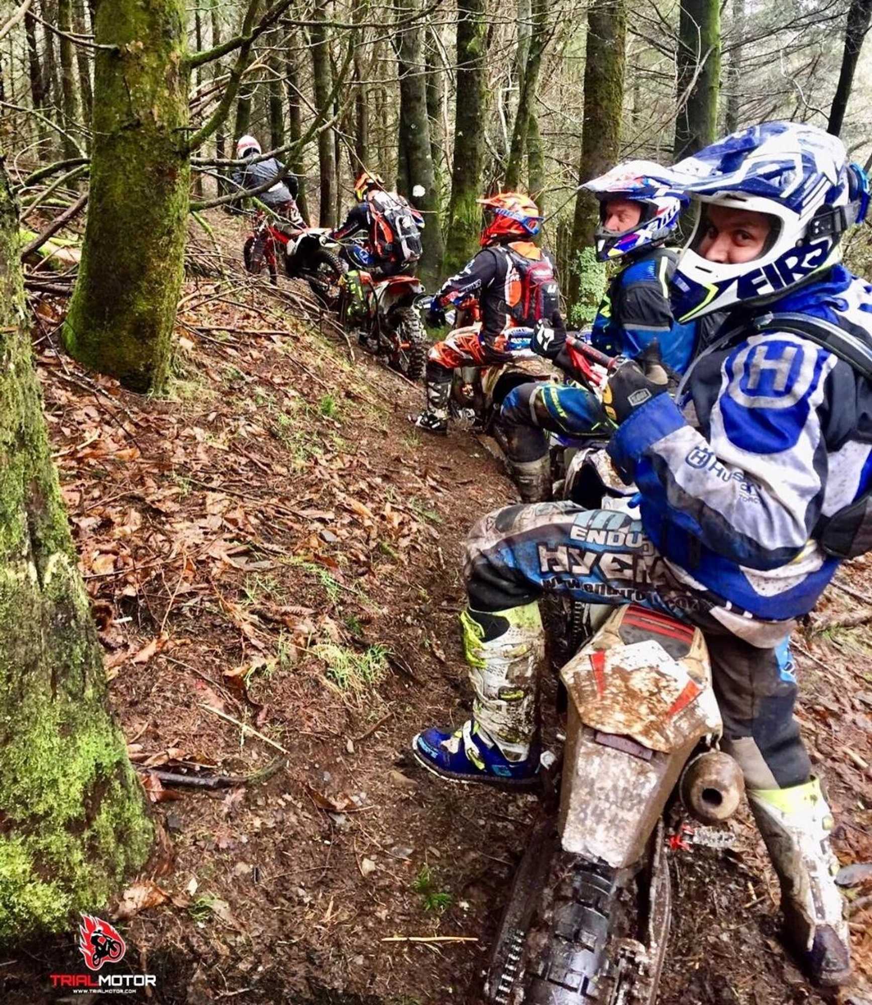 Gift card for Quintal De Alem Do Ribeiro-Turismo Rural