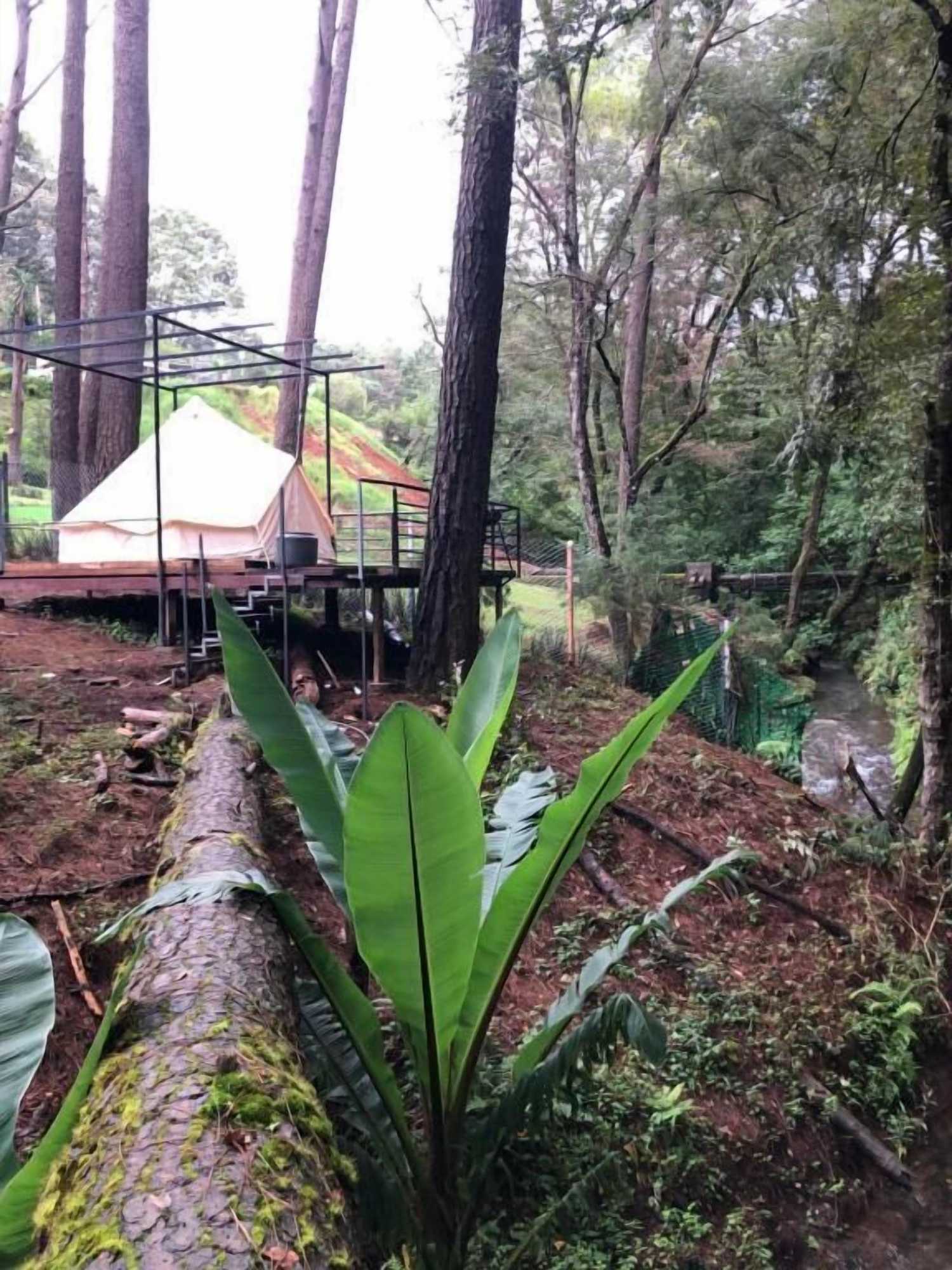 Gift card for Glamping Rio Valle de Bravo