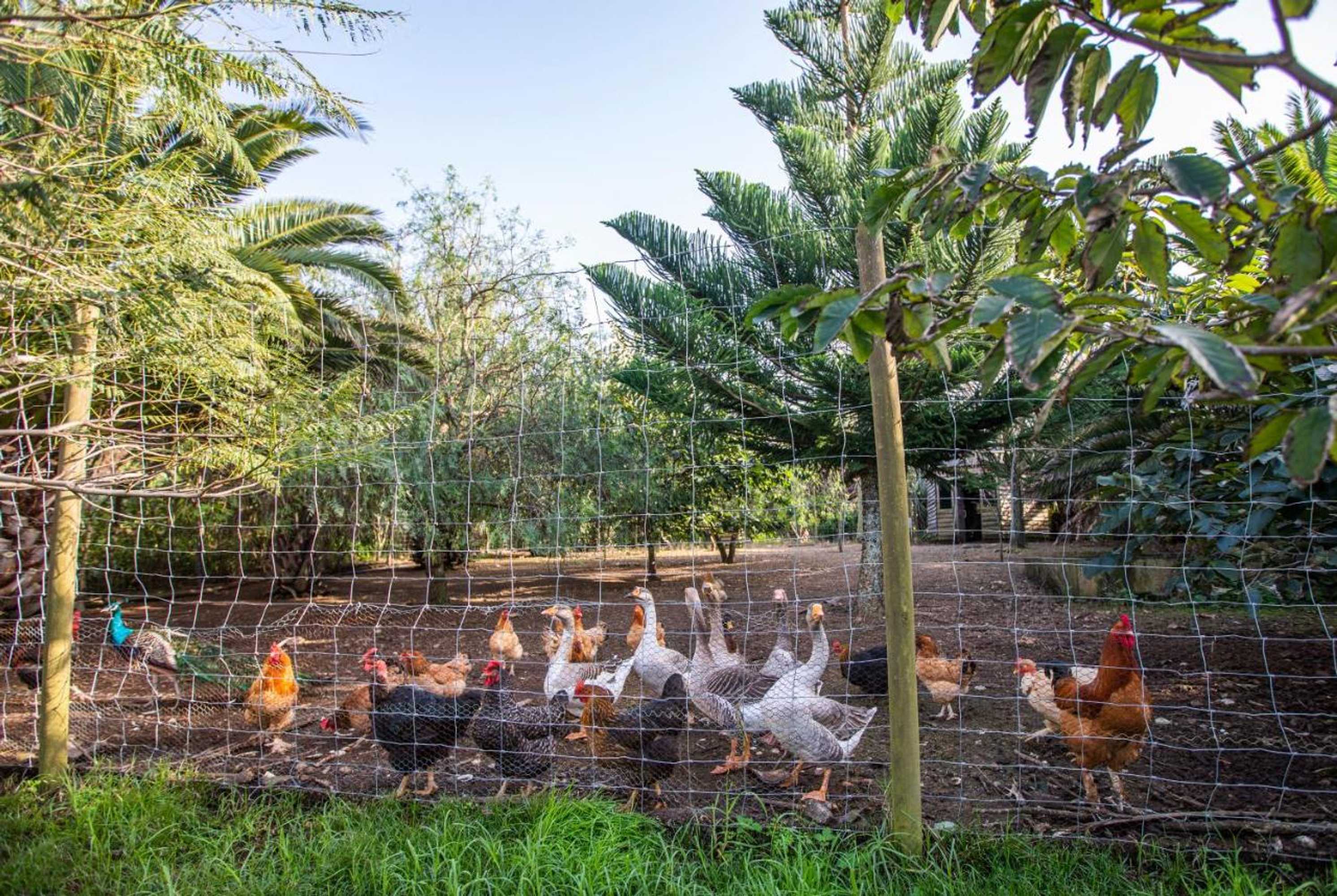 Gift card for Atlantico Apartments Gift card for Atlantico Apartments