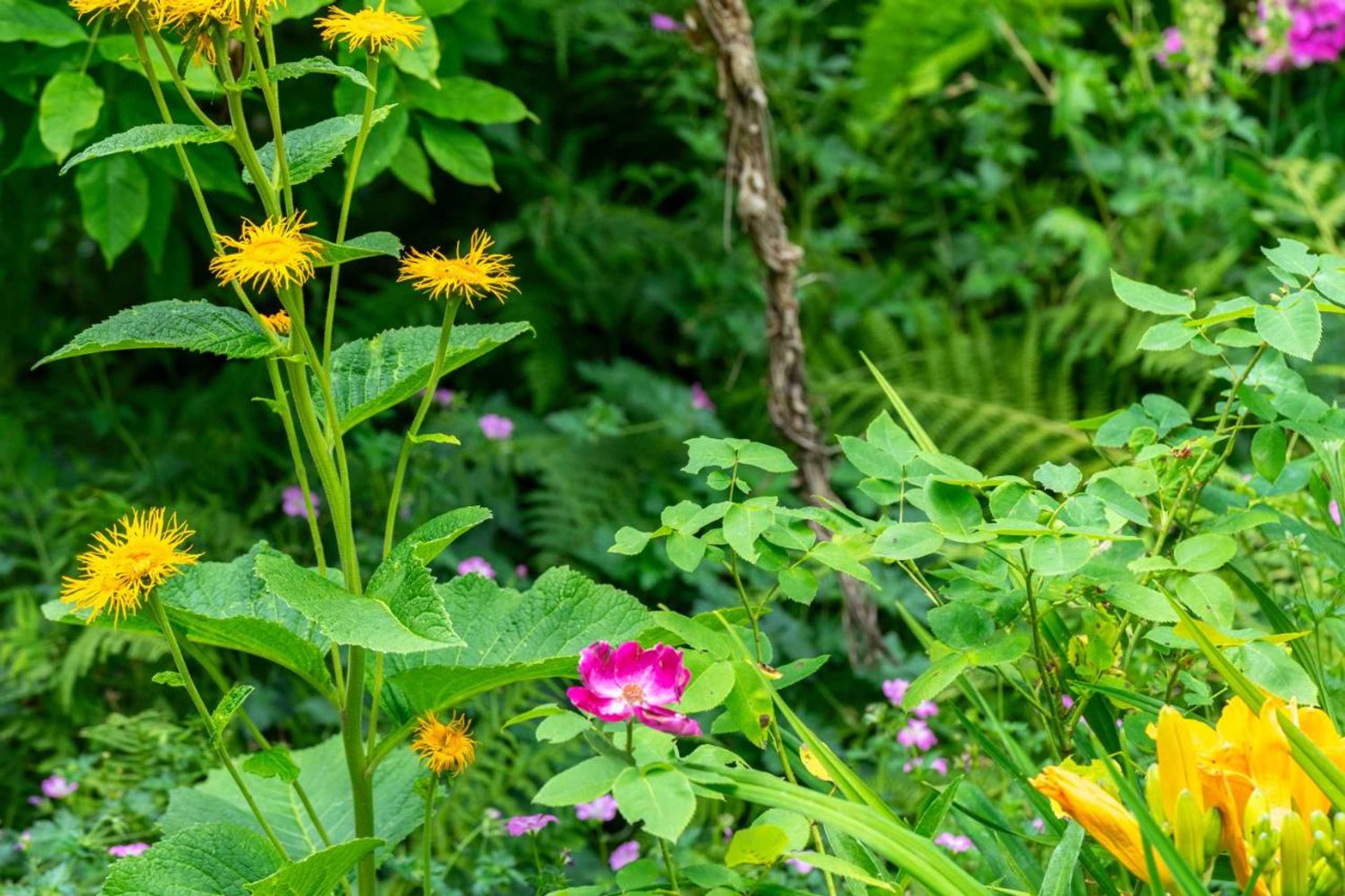 Gift card for Hotel Schmausemühle