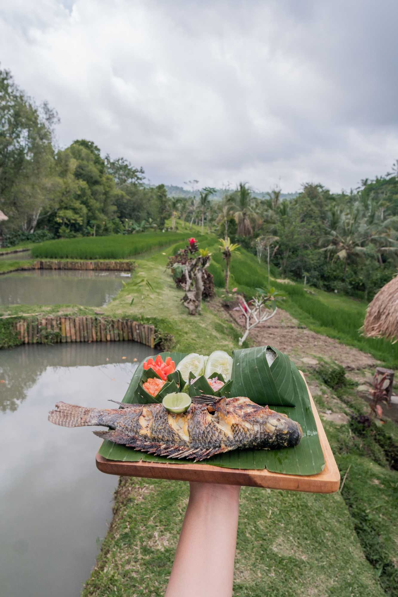 Gift card for Galalima Glamping