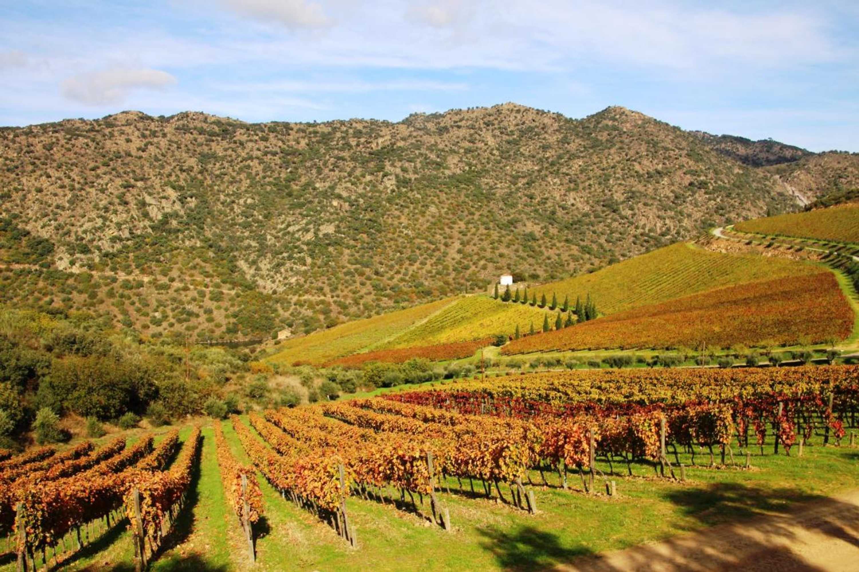 Gift card for Douro Yacht Charter & Bungalows