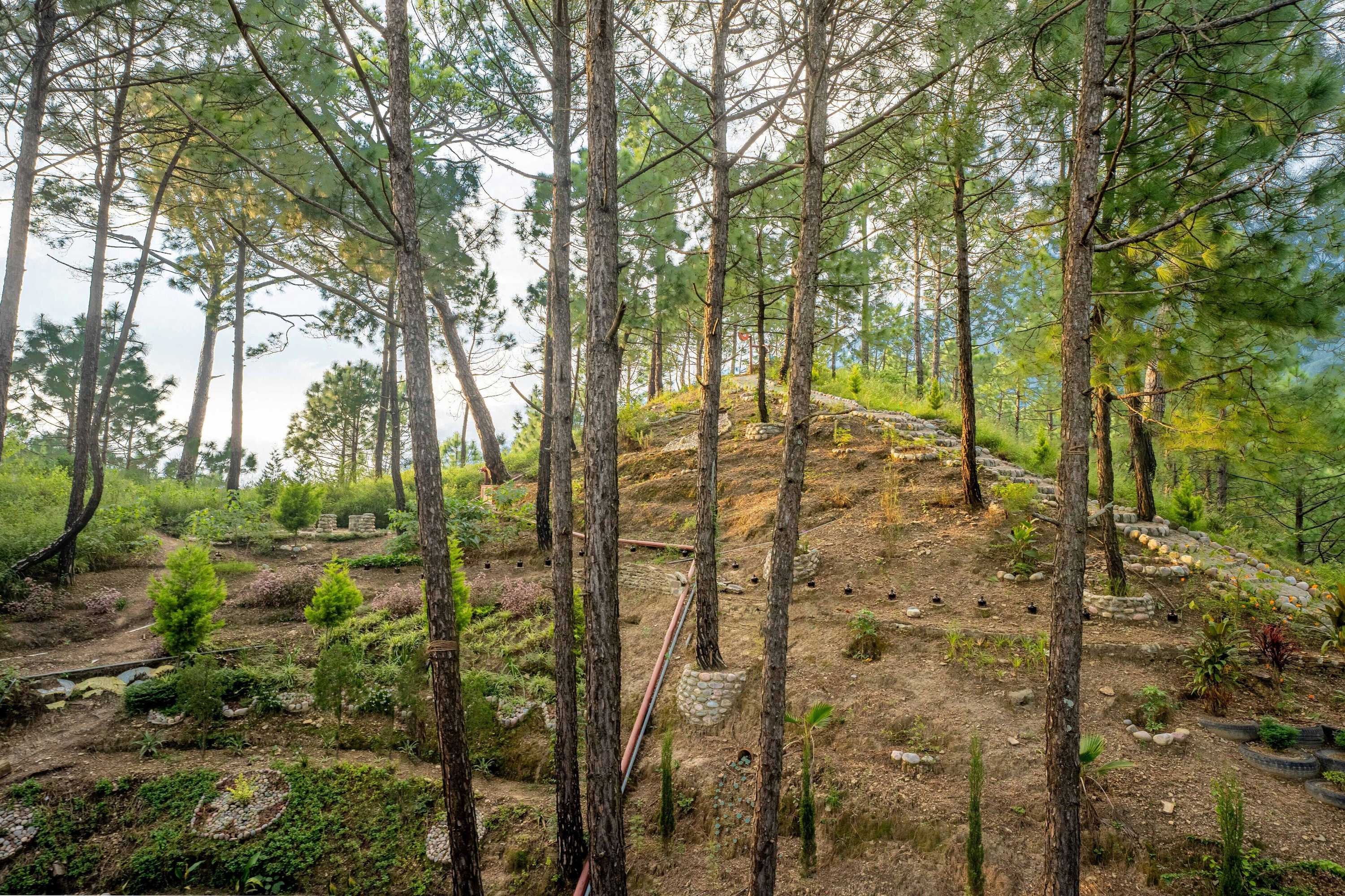 Gift card for Chillaru Spa & Resort