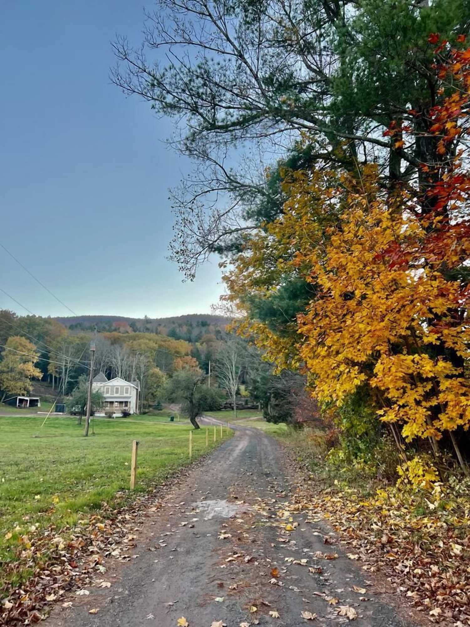 Gift card for The Haüs Windham