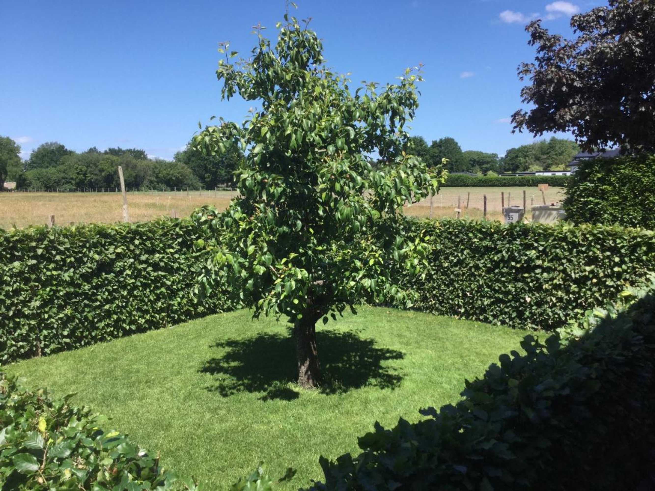 Gift card for Bed & Breakfast Bennekom