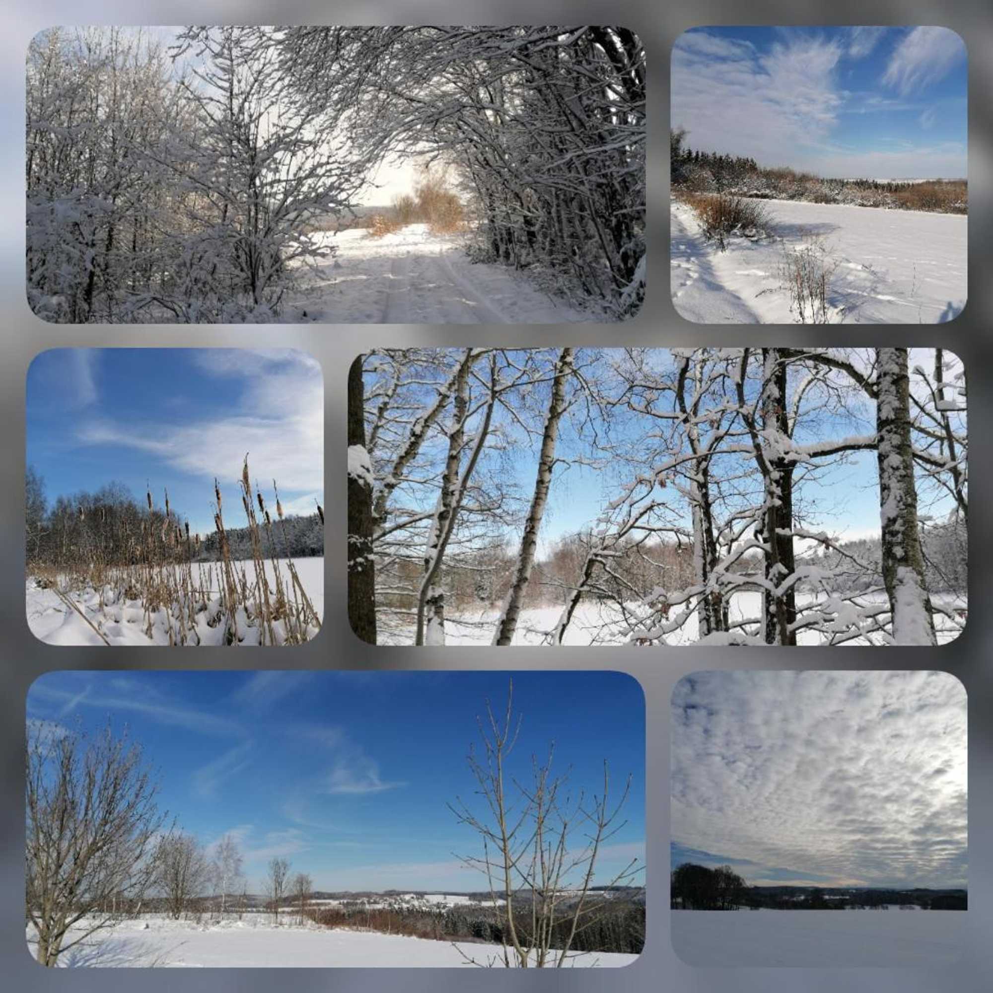 Gift card for Landgasthof Plohnbachtal UG