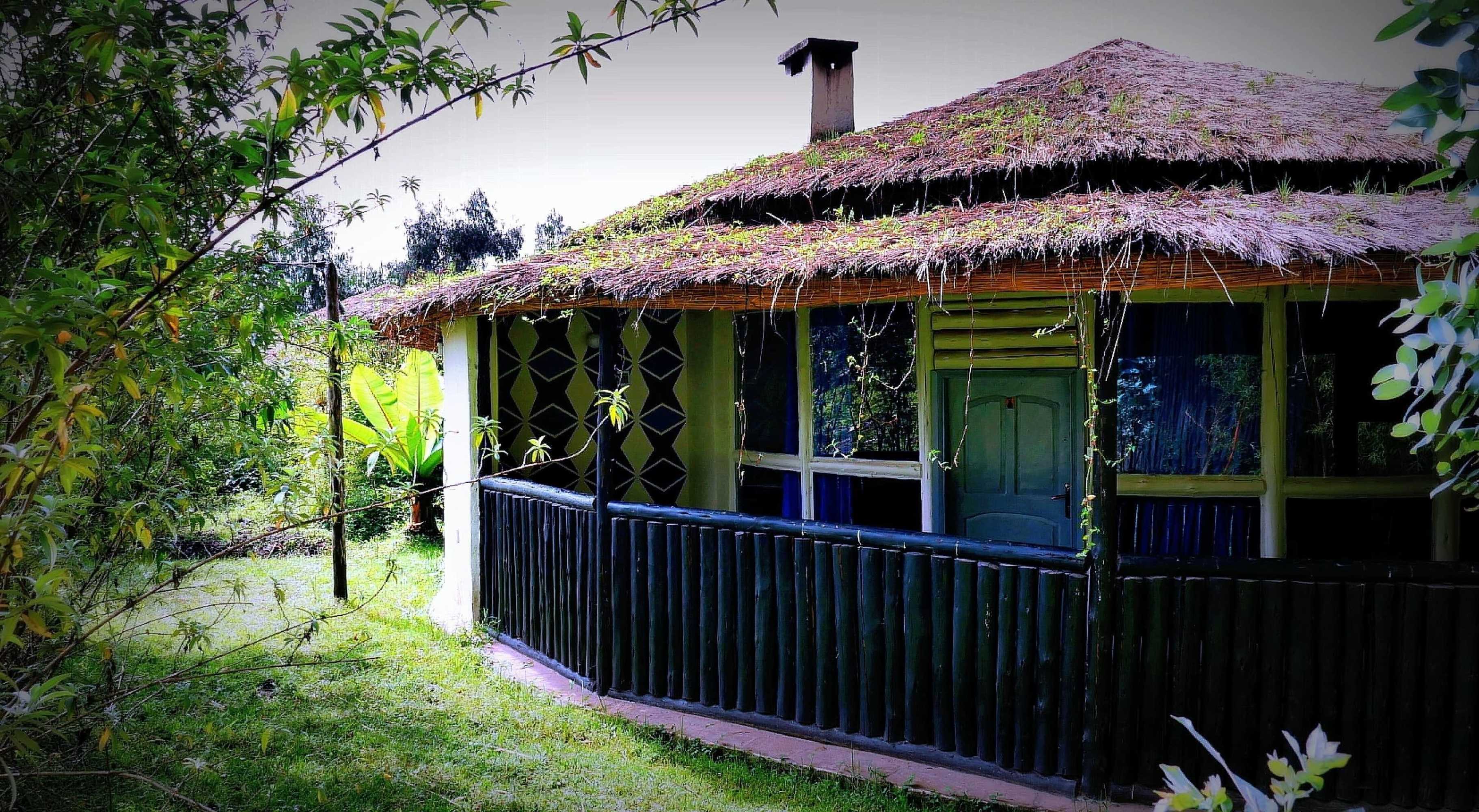Gift card for Le Bambou Gorilla Lodge Gift card for Le Bambou Gorilla Lodge