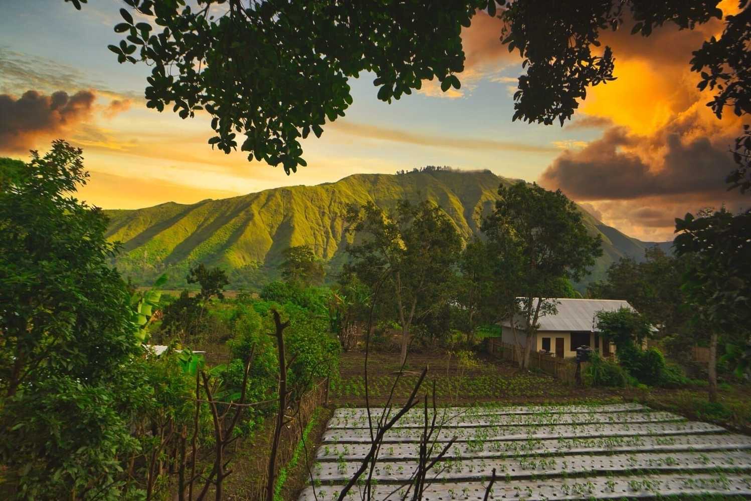 Gift card for Tresno Sembalun Rinjani