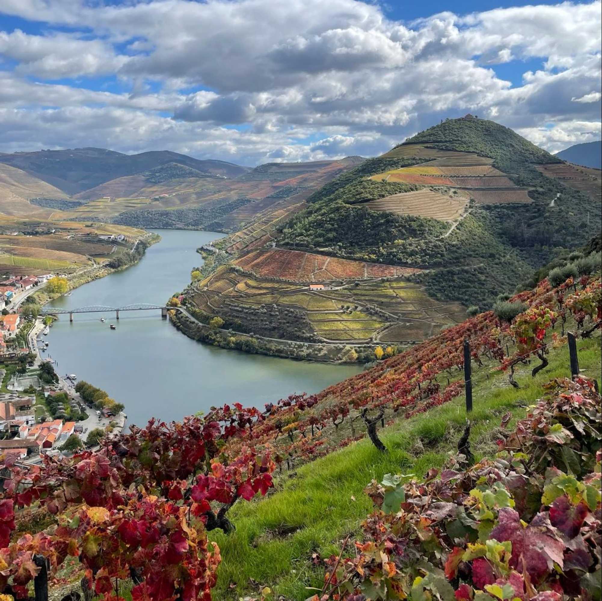 Gift card for Hostel Douro Backpackers