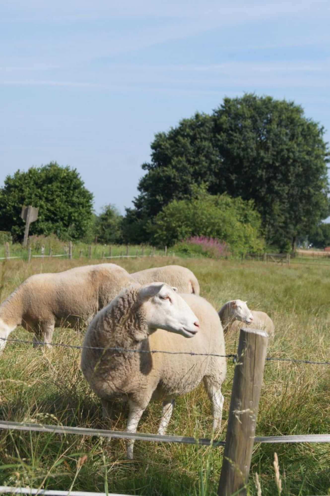 Gift card for B&b Het Wouwe