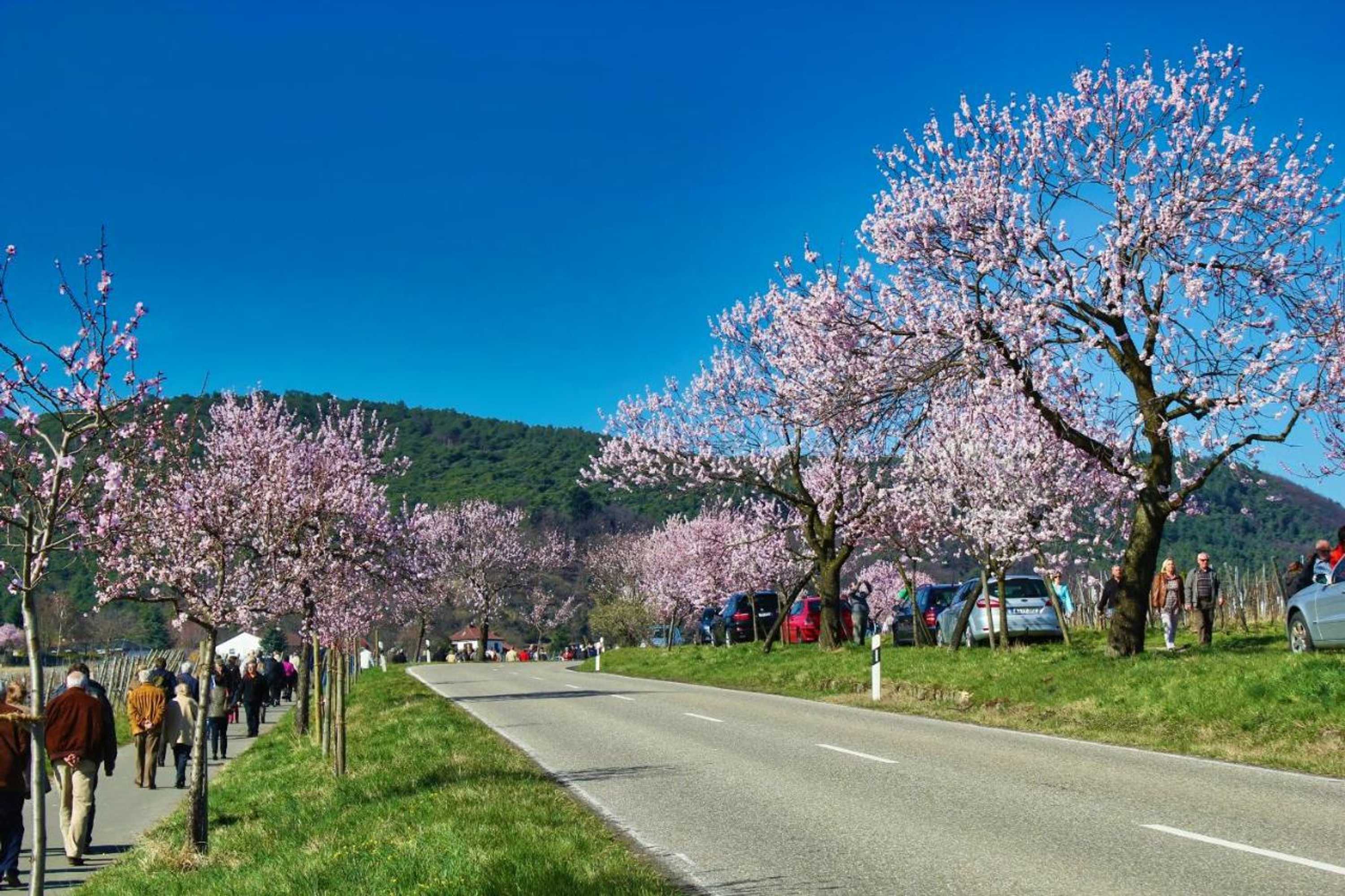 Gift card for Hotel Tenner