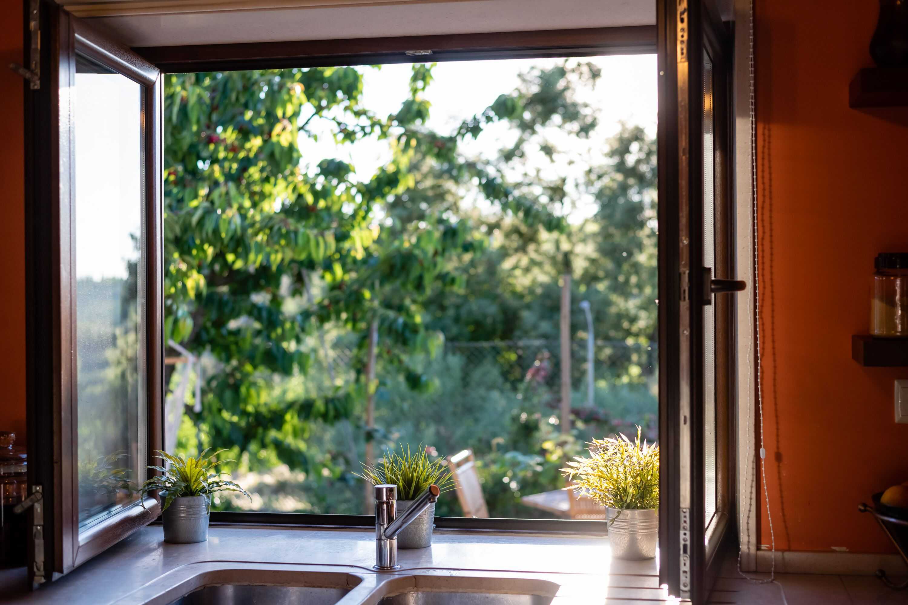 Gift card for Feel Discovery Maçã Douro