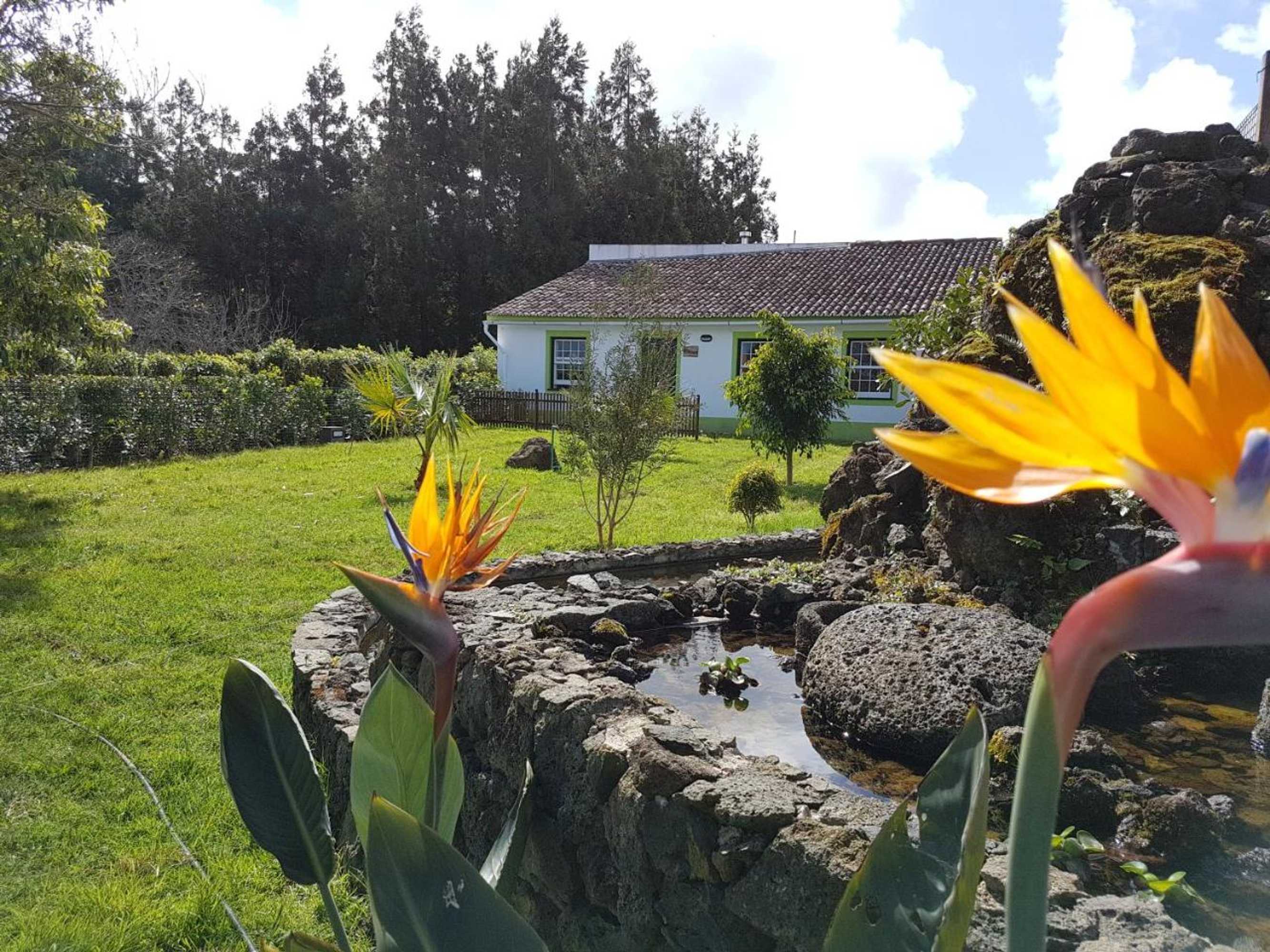 Gift card for Stonewood Lodge AL