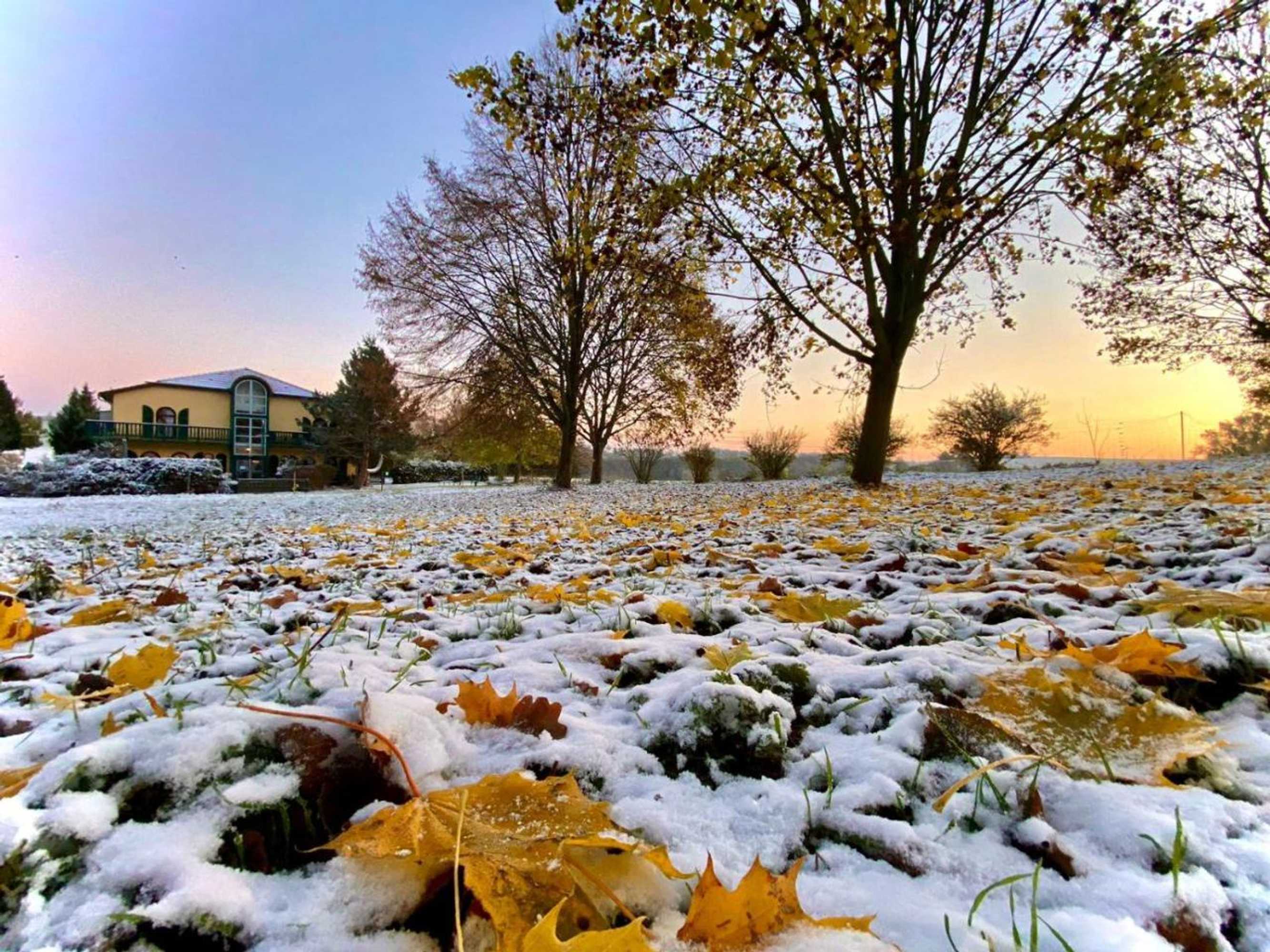 Gift card for Vanilla Hof