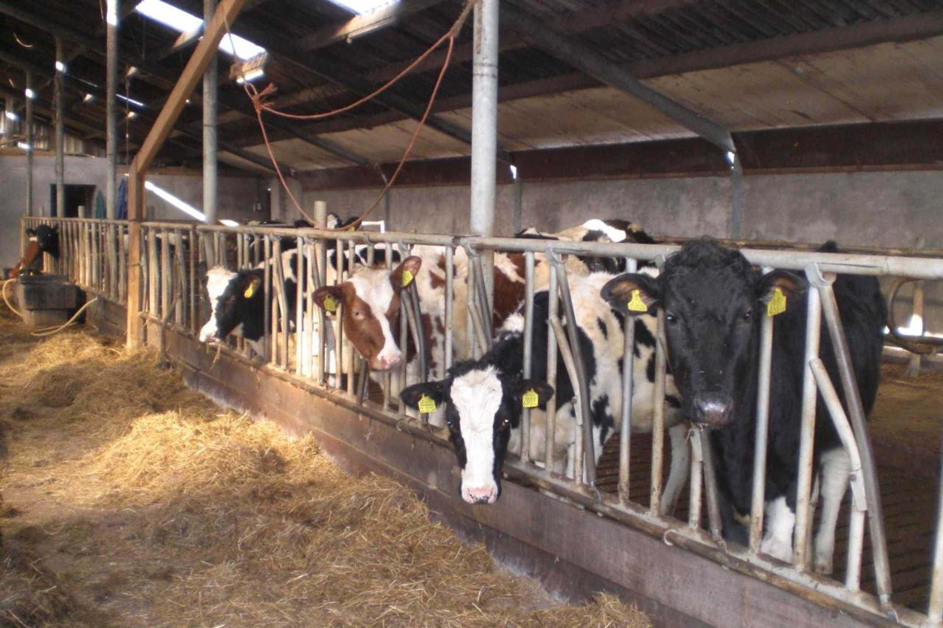 Gift card for B&b de Rivierduin