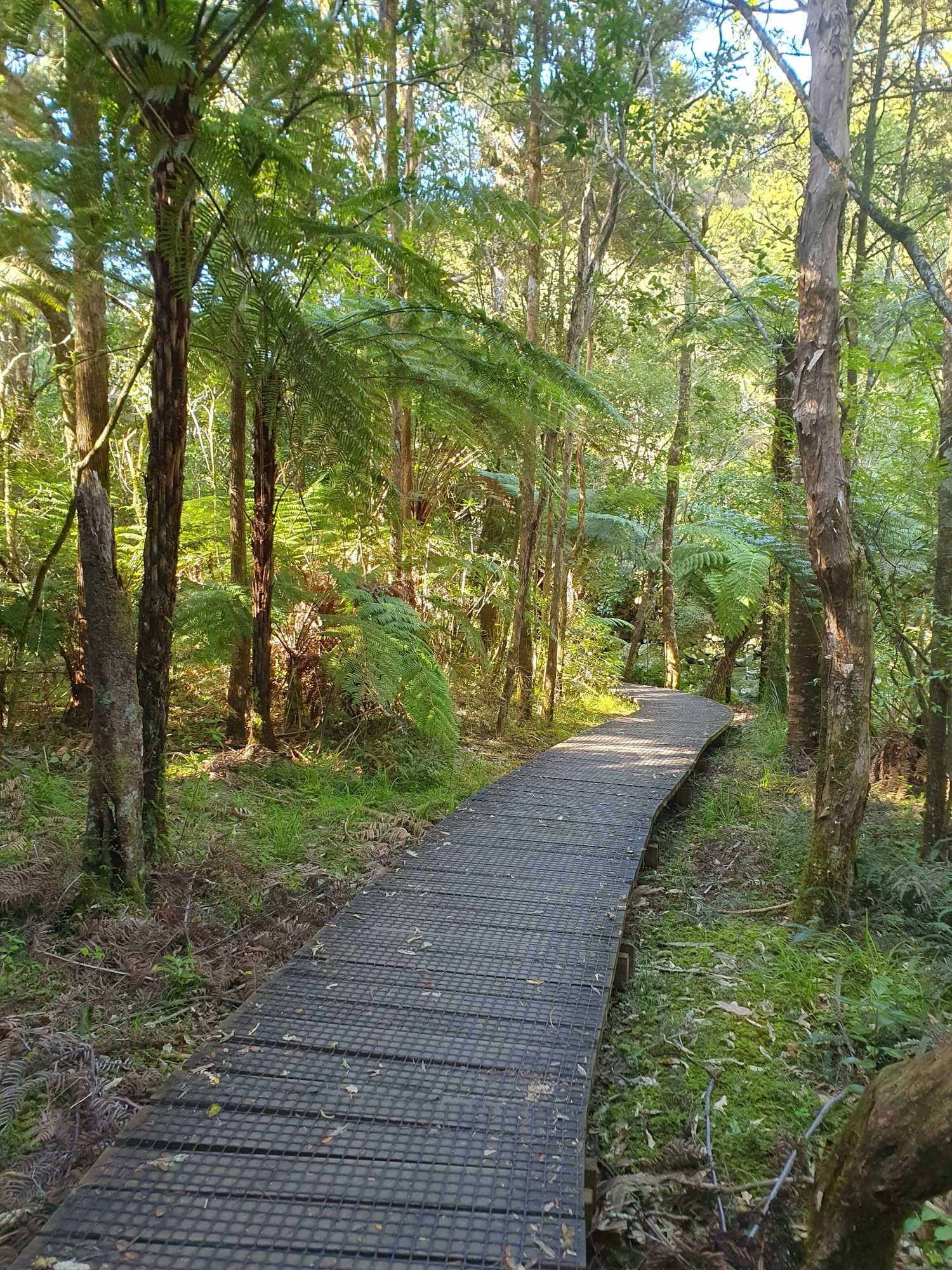 Gift card for Kerikeri Park Lodge Gift card for Kerikeri Park Lodge