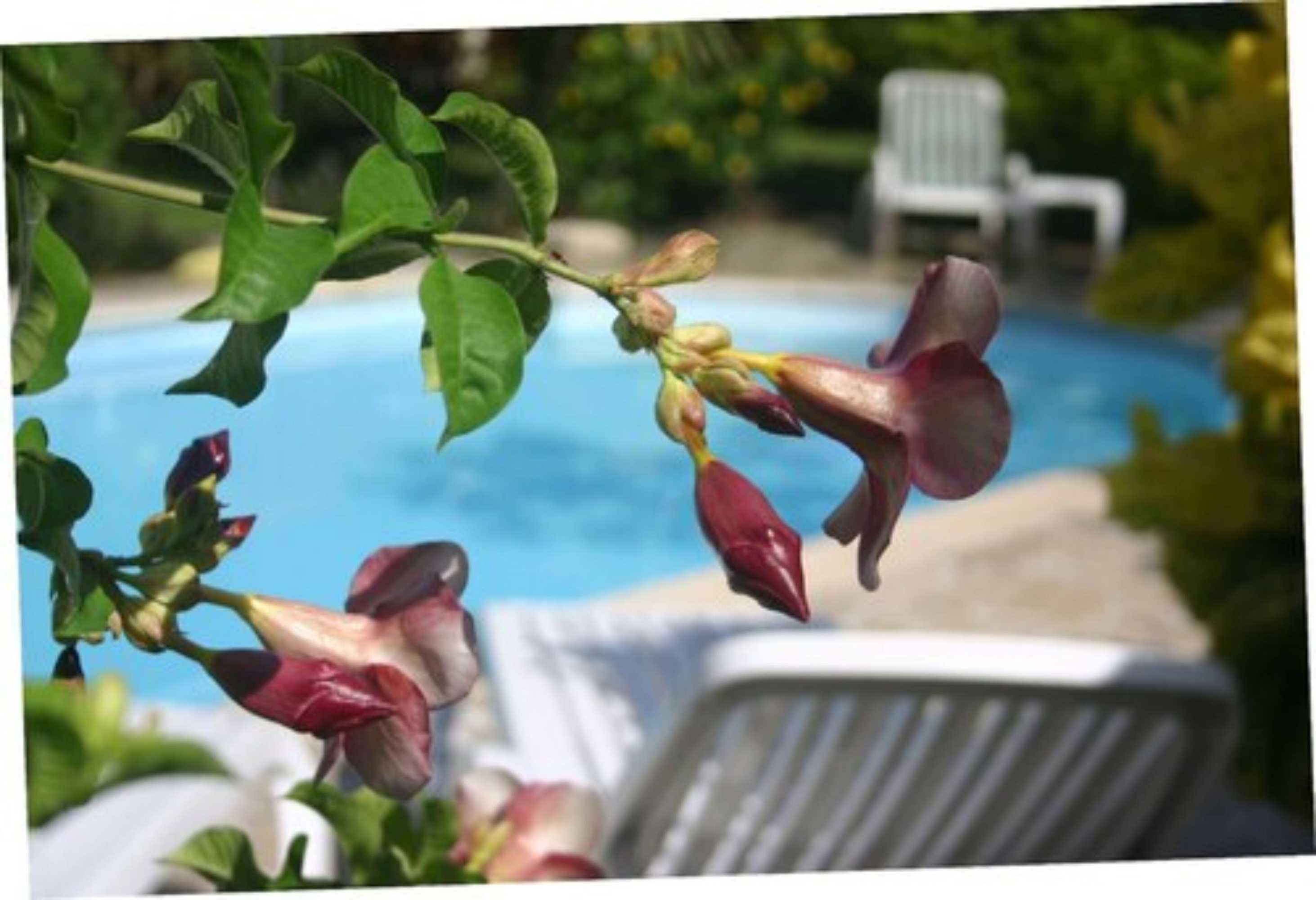 Gift card for Pension de la Plage Gift card for Pension de la Plage