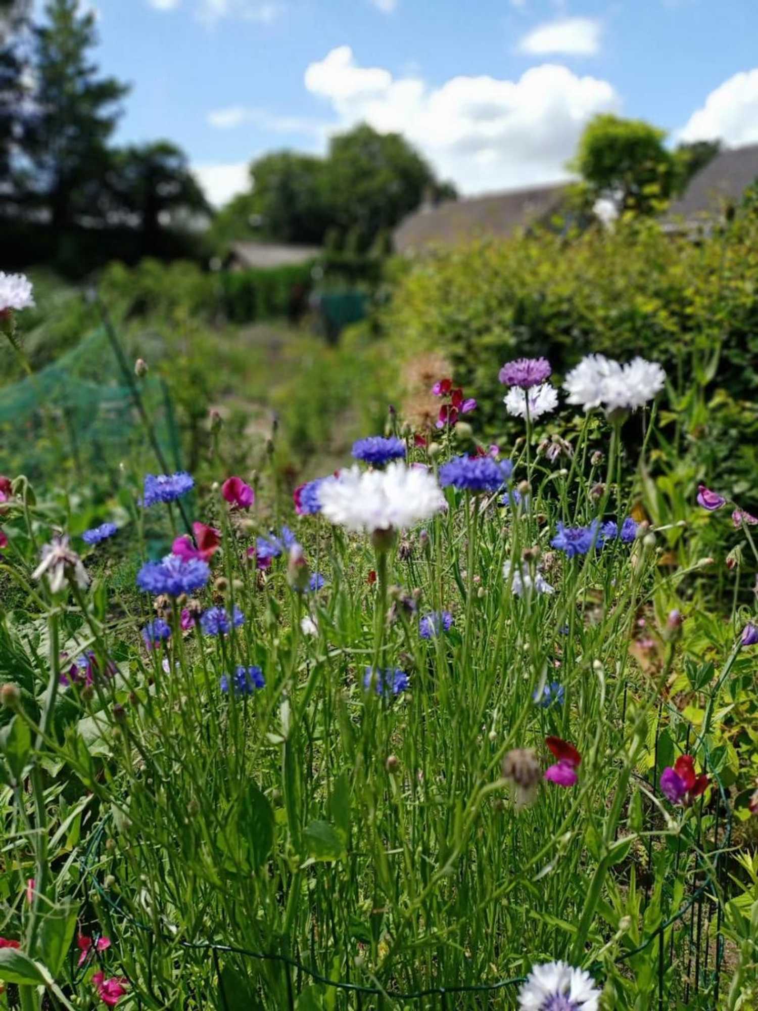 Gift card for Bij de Vlaamse Schuur