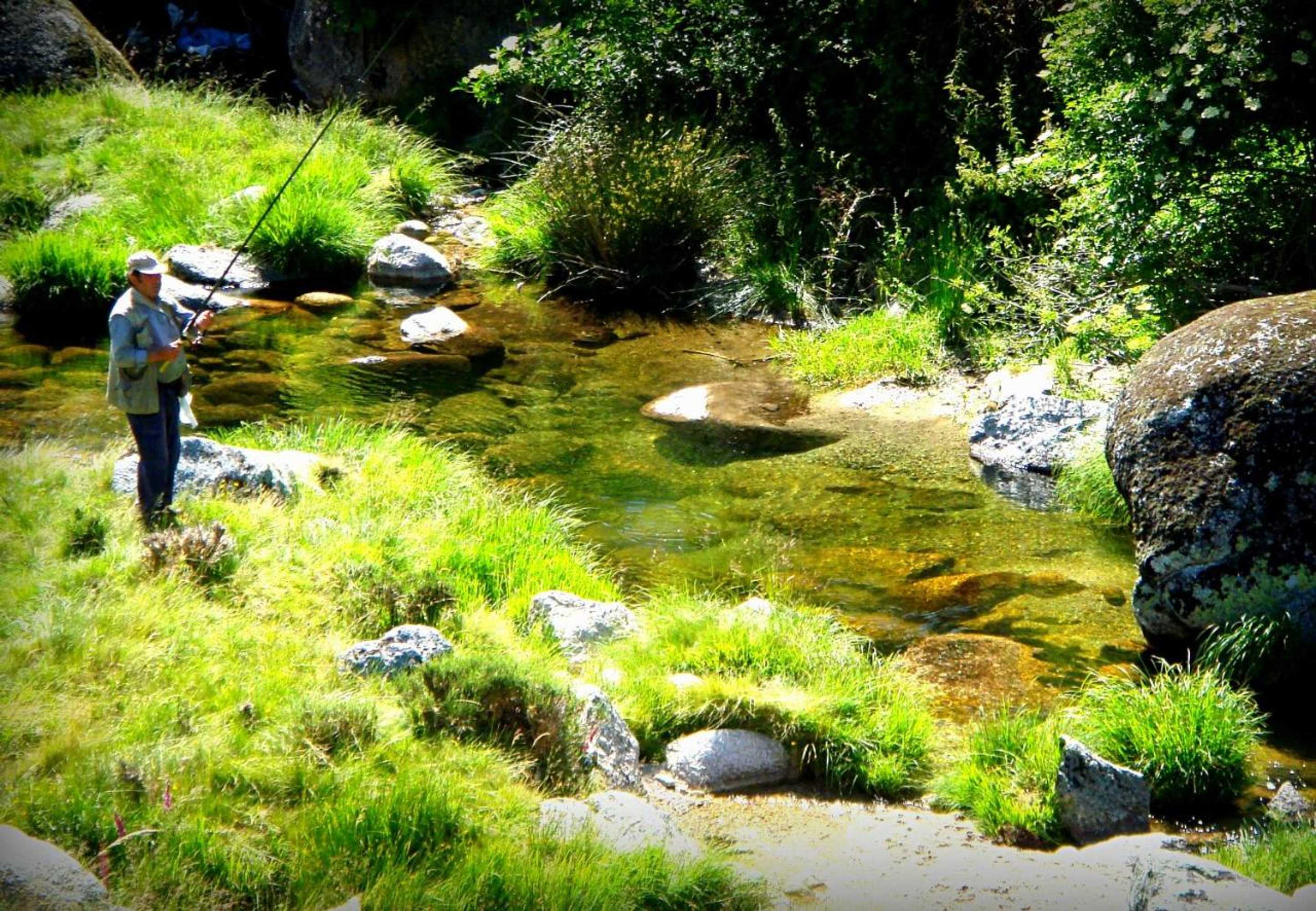 Gift card for Casas do Cruzeiro