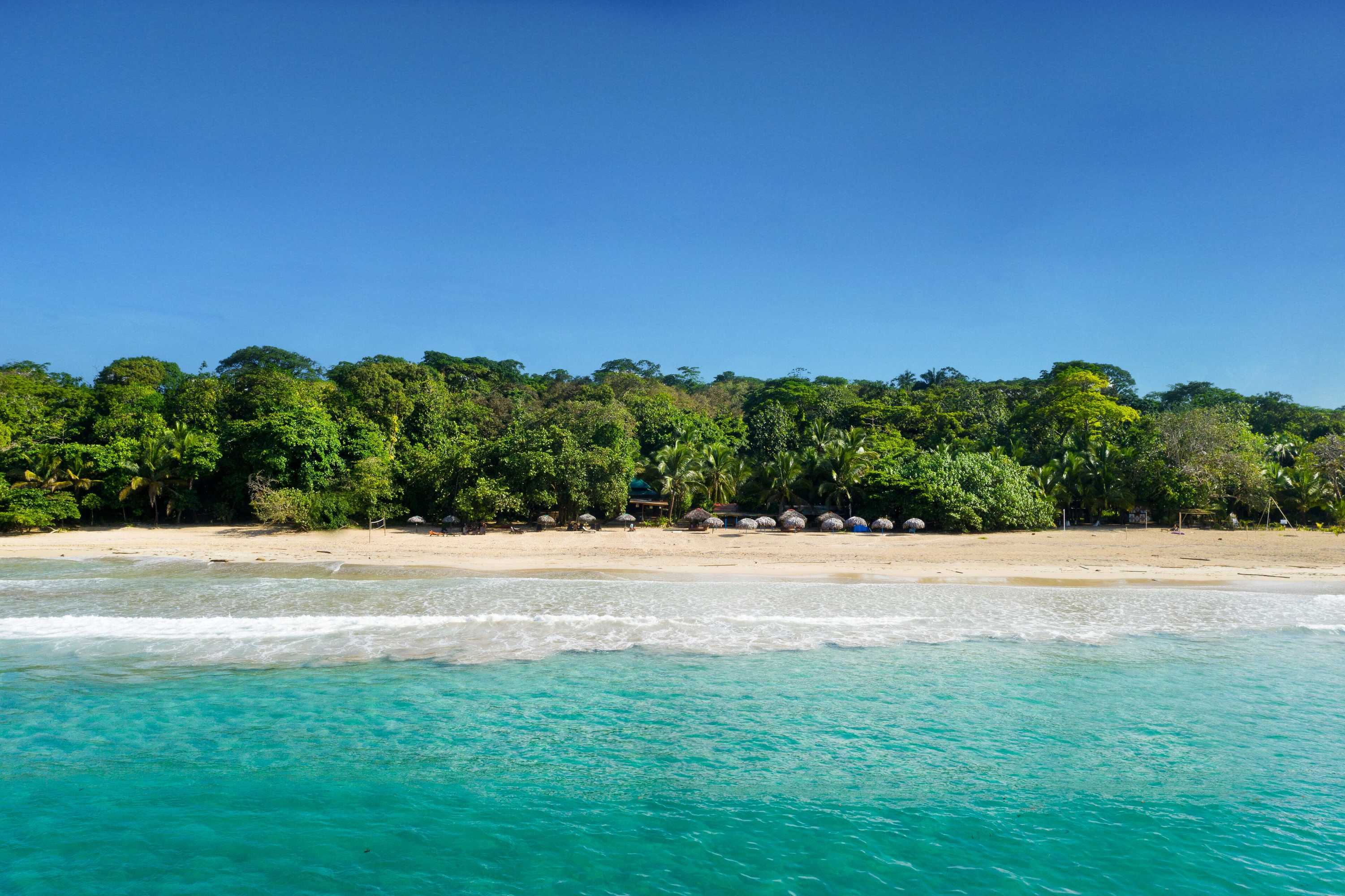 Gift card for Palmar Beach Lodge Gift card for Palmar Beach Lodge