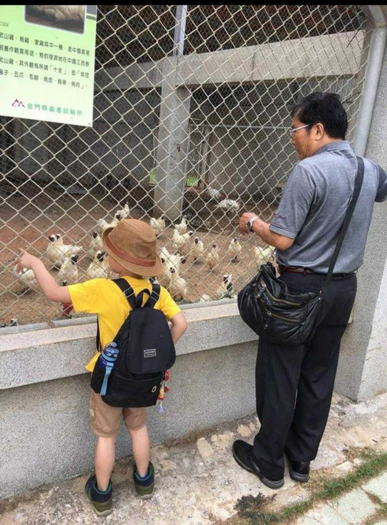 Gift card for 988 Ancient House B&b