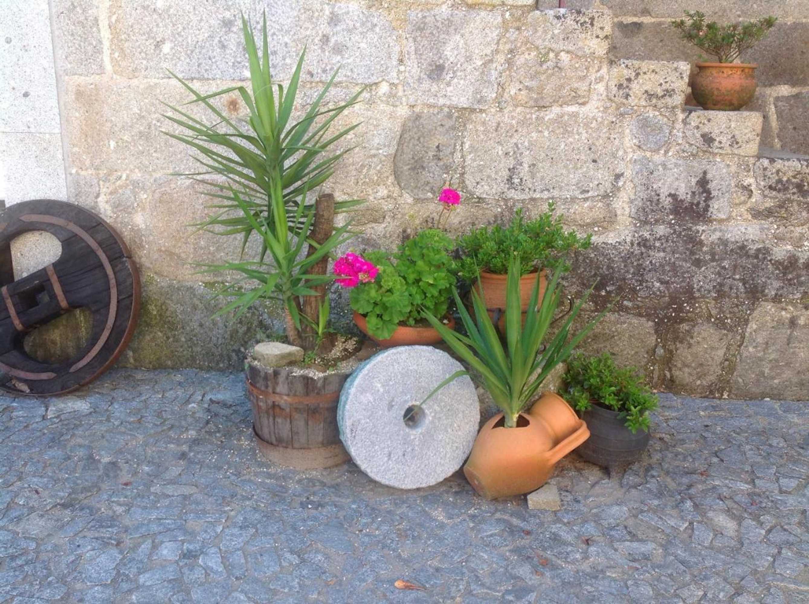 Gift card for Casa da Ponte do Porto