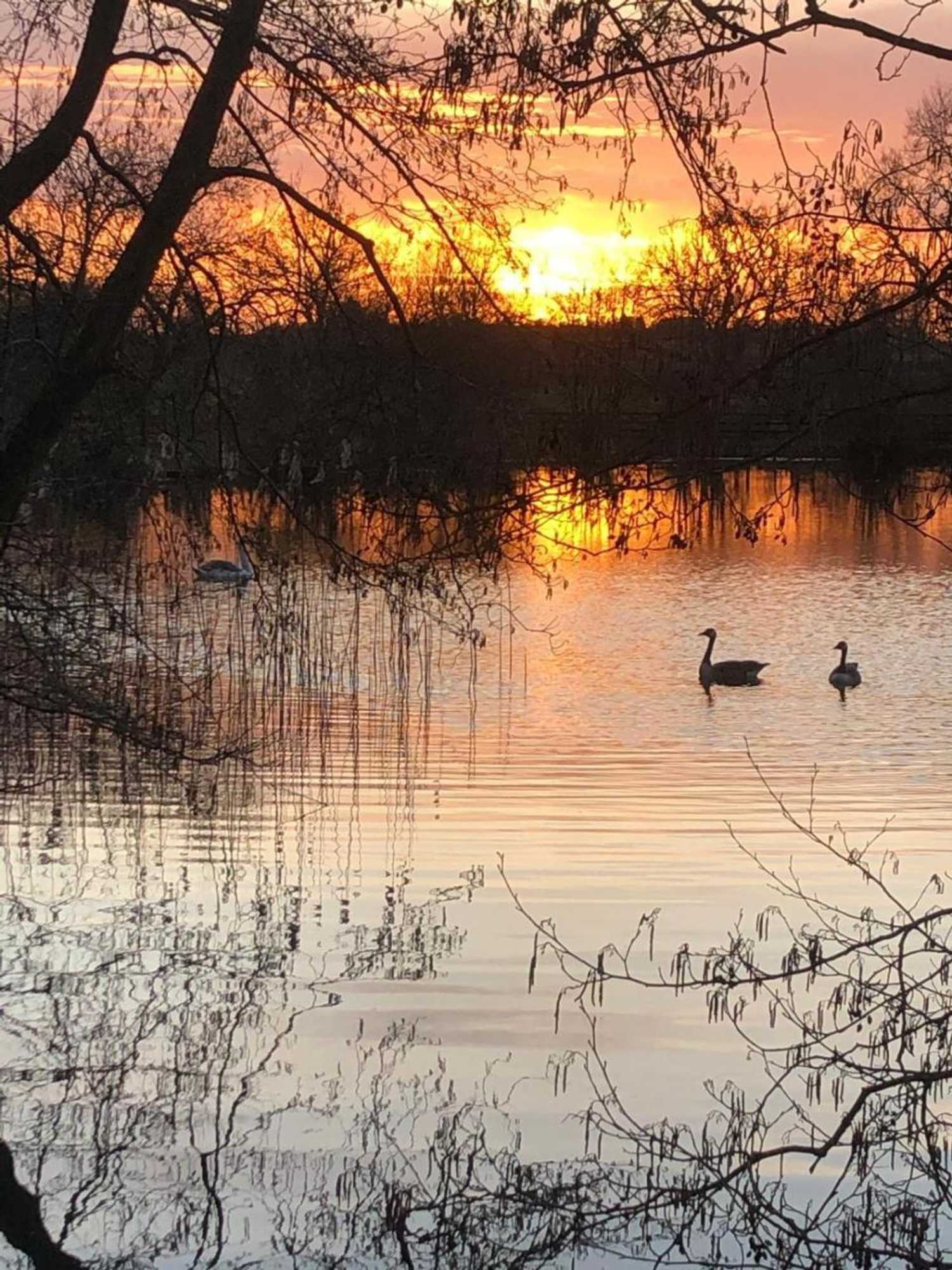 Gift card for Astwell Mill