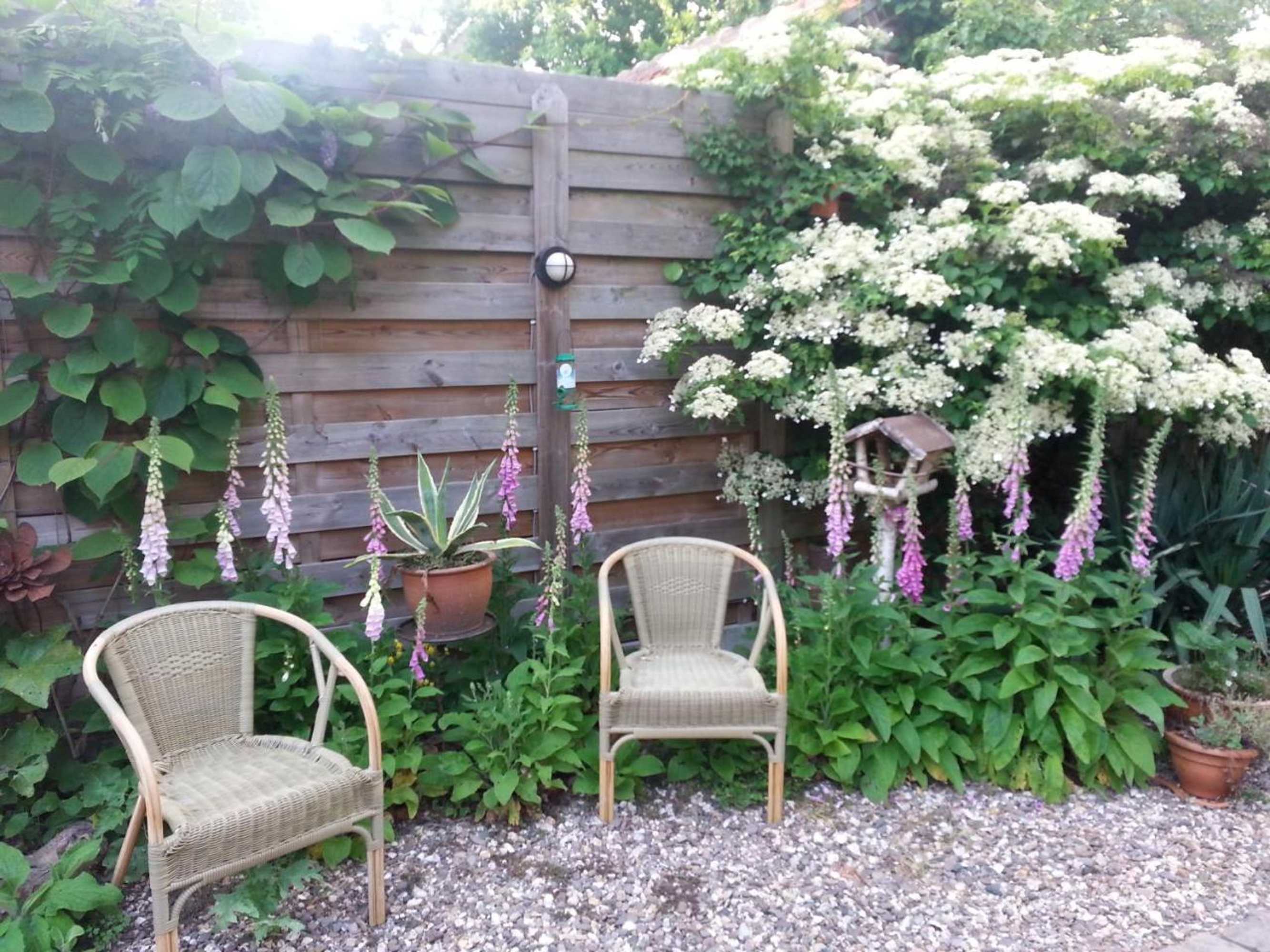 Gift card for B & B De Pimpelmees