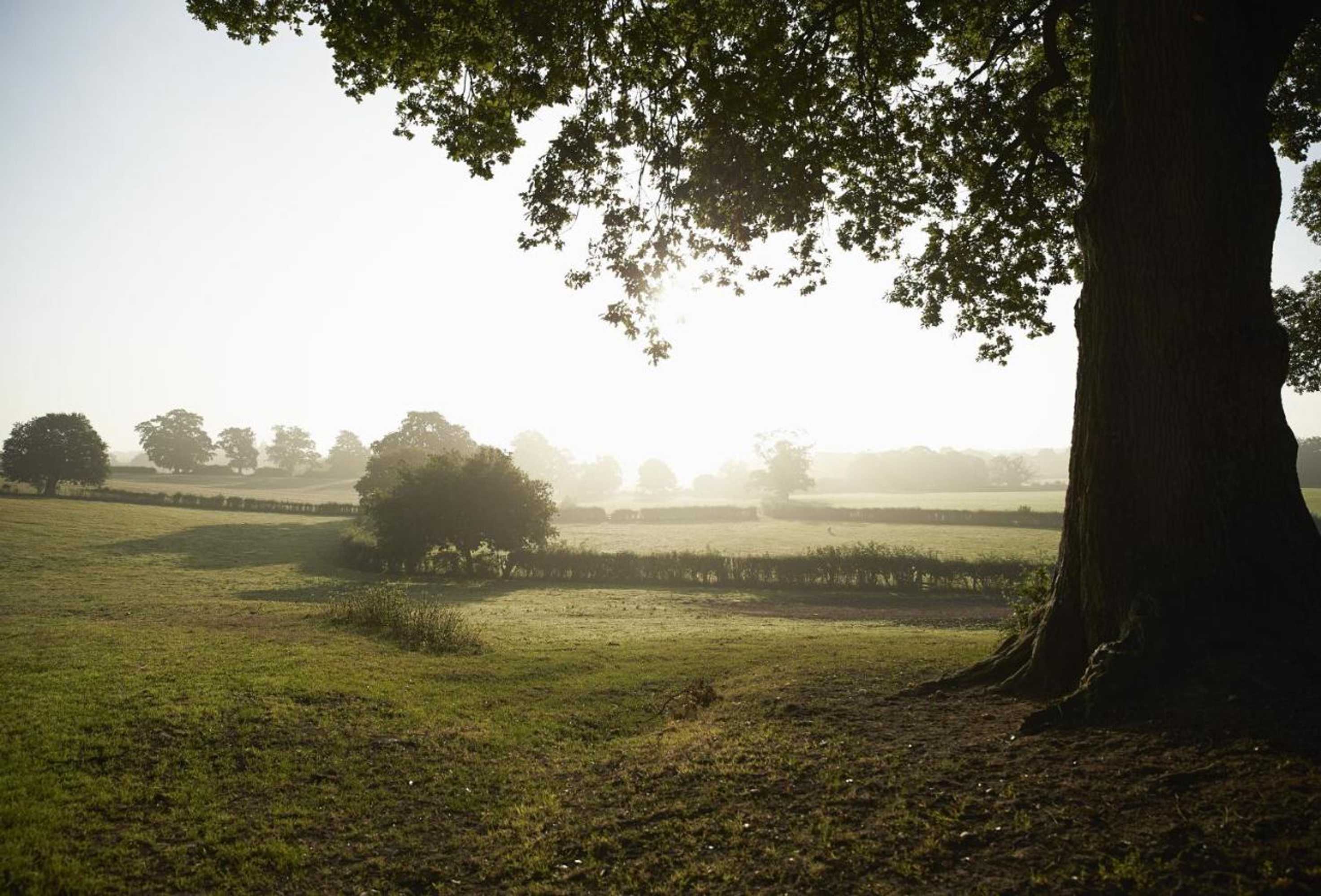 Gift card for Nellies Barn