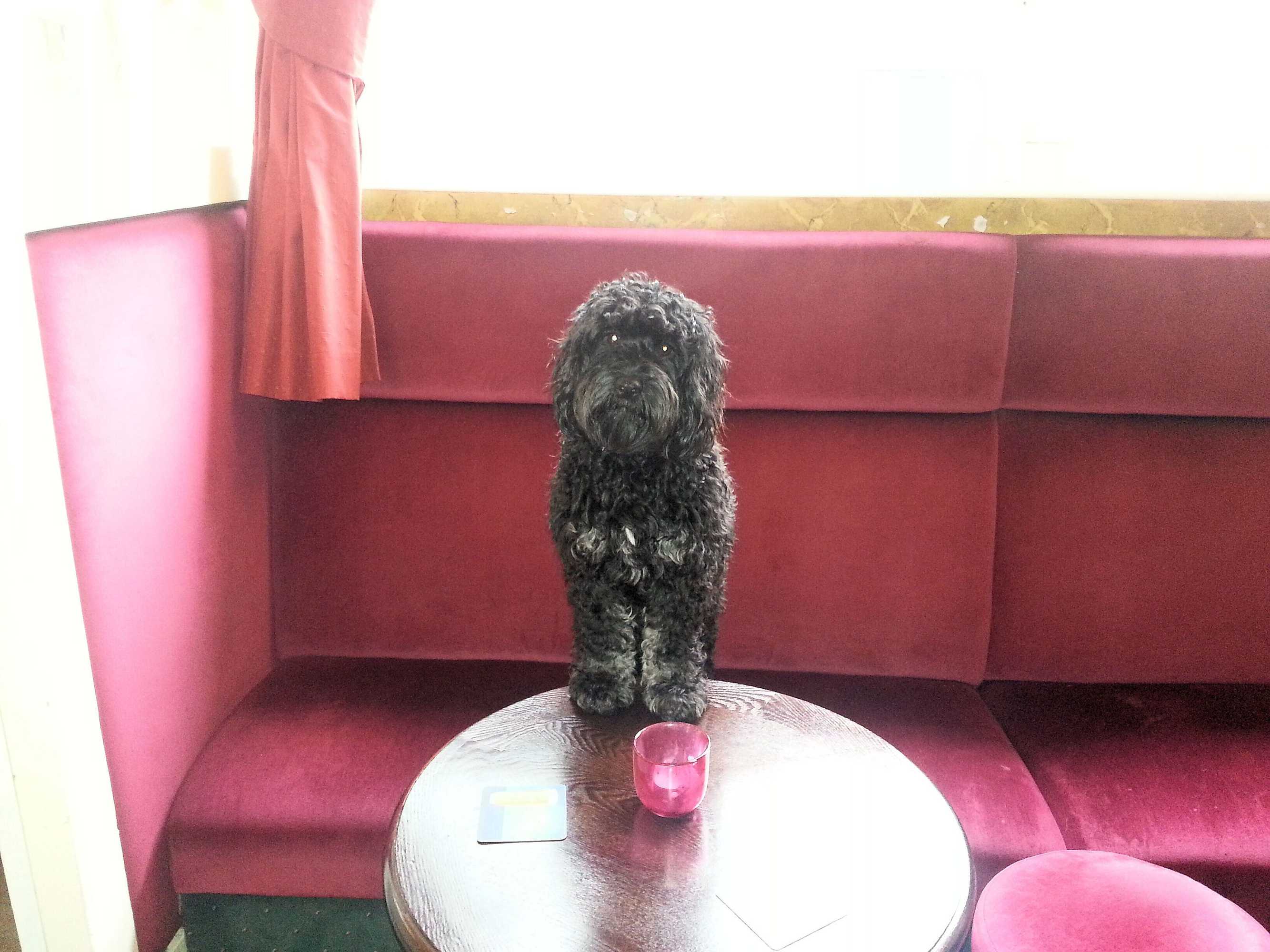 Gift card for Bow Street Runner