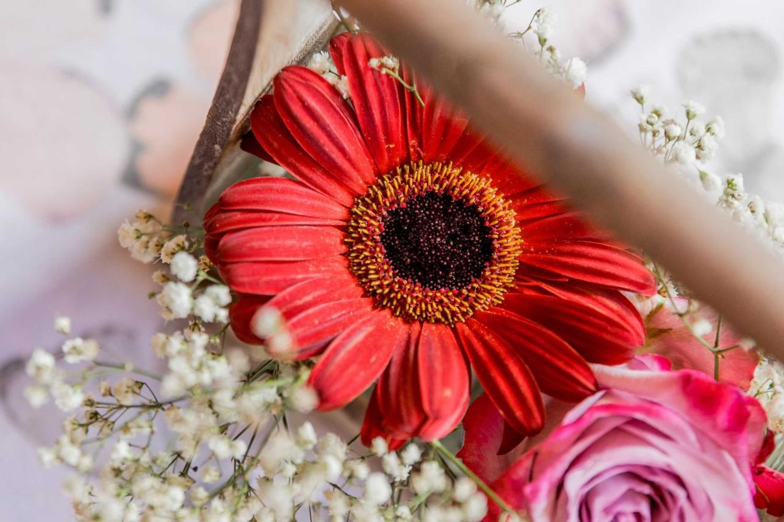 Gift card for Hotel Folklorehof