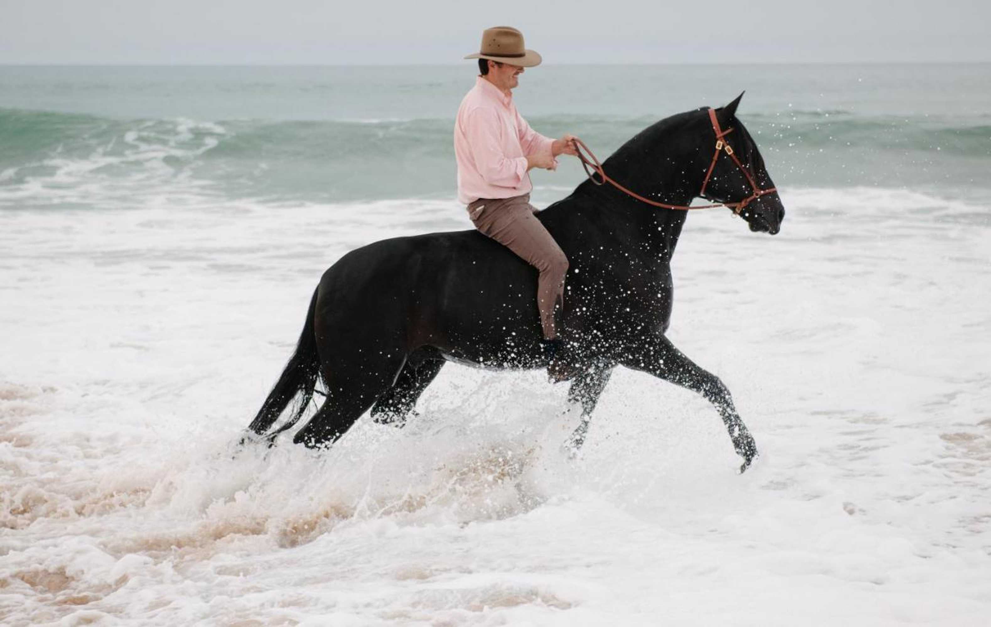 Gift card for Quinta do Rol