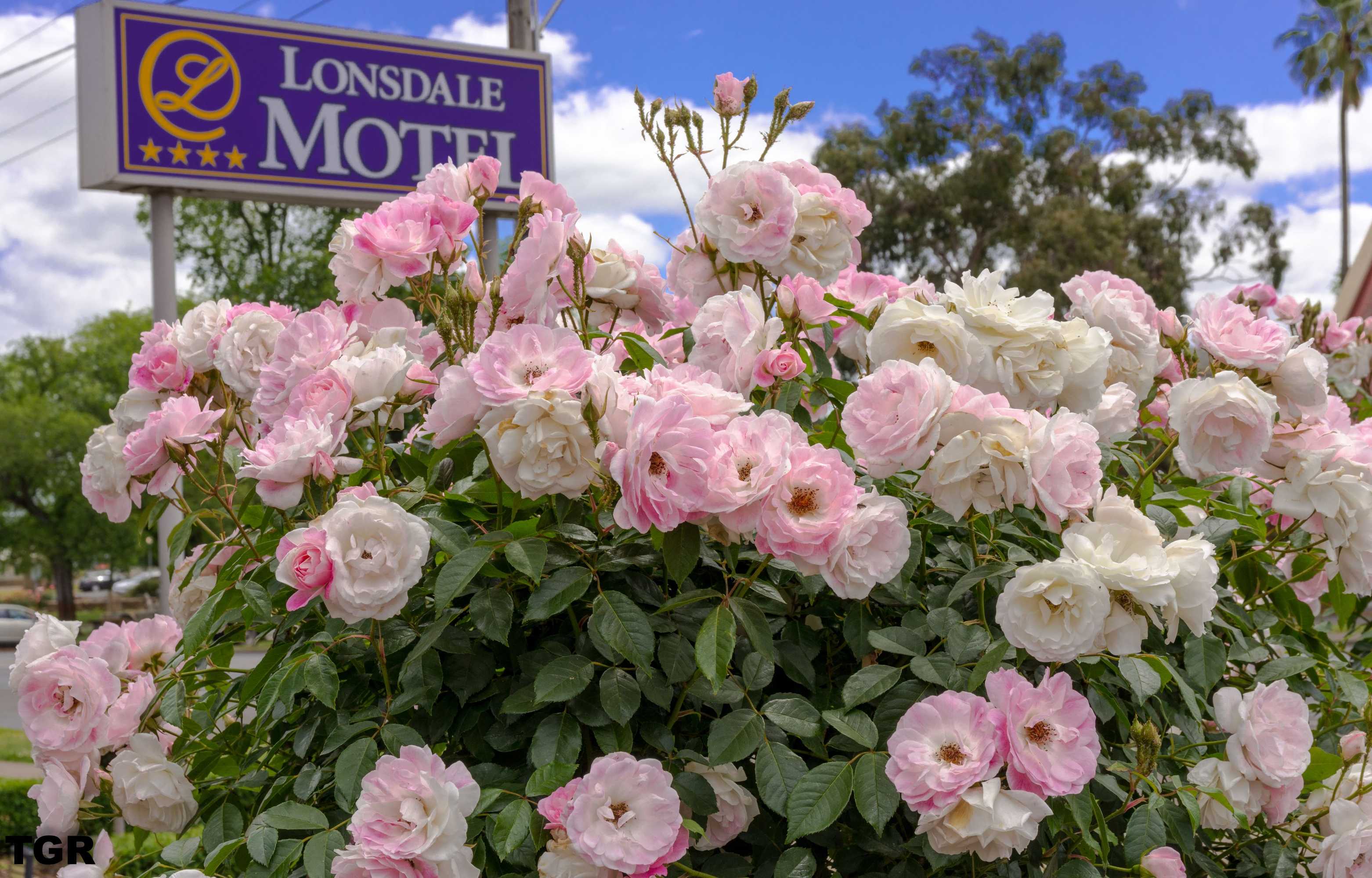Gift card for Hamilton Lonsdale Motel Gift card for Hamilton Lonsdale Motel