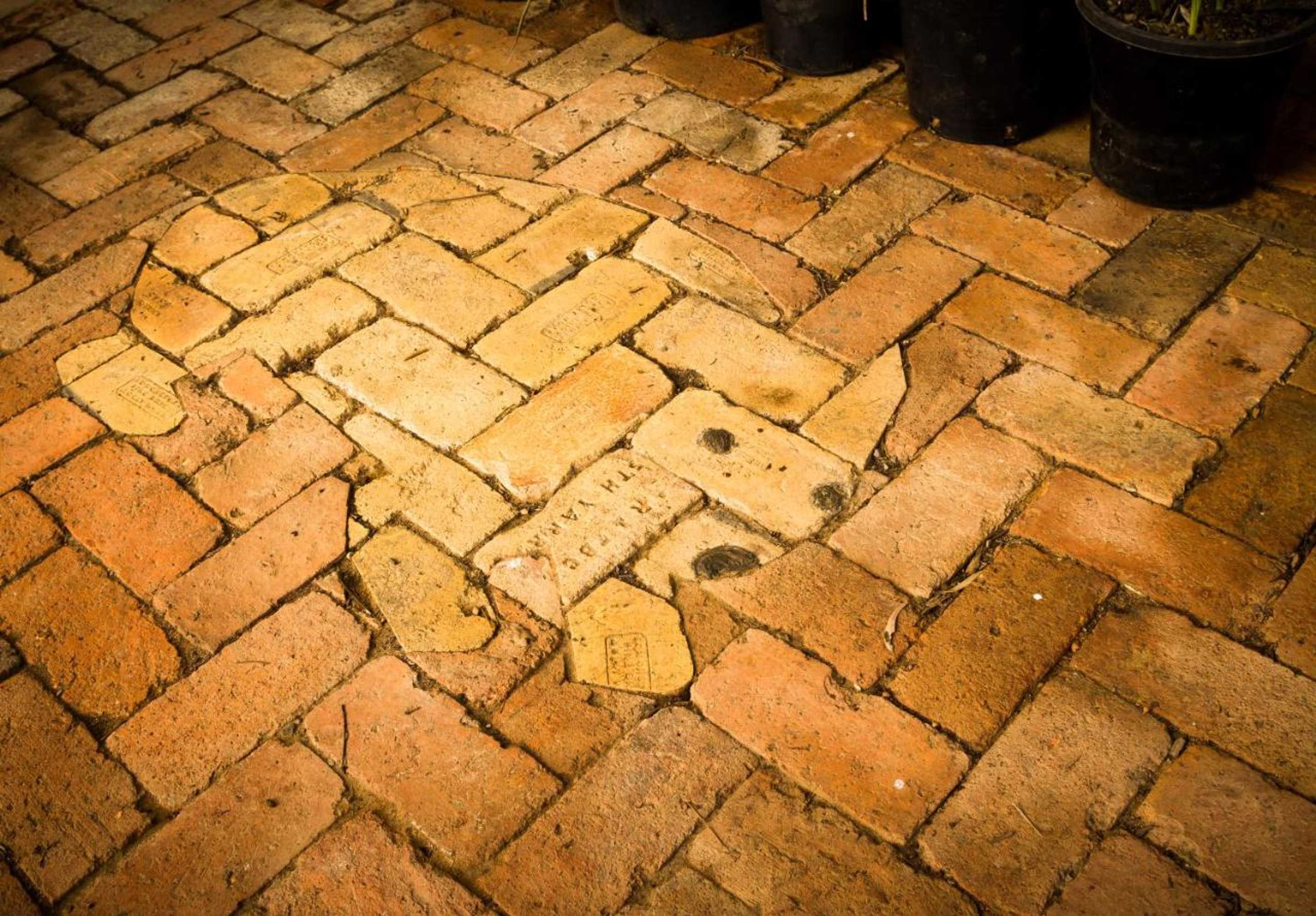 Gift card for The Burrow At Wombat Bend