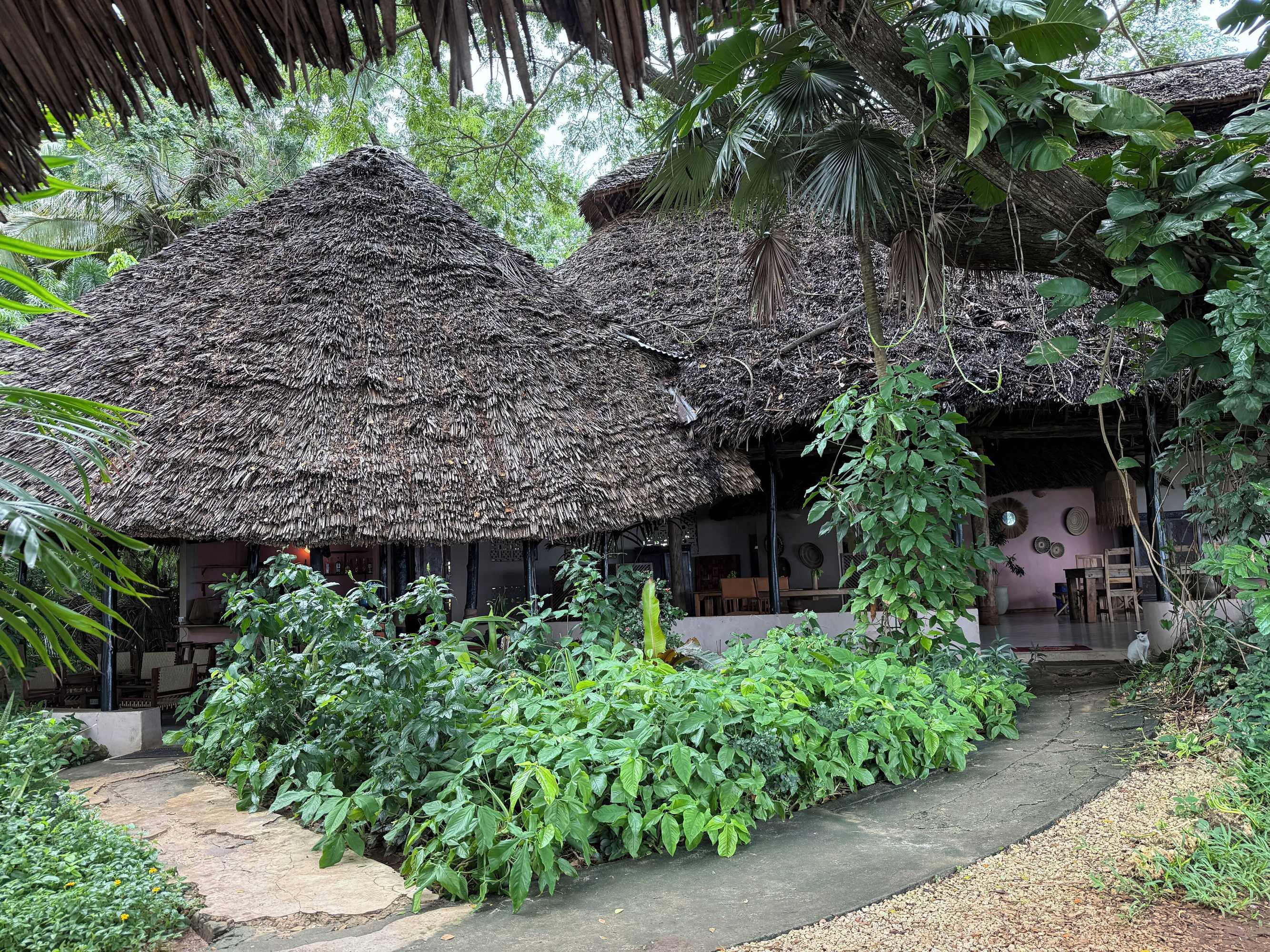 Gift card for Mbweni Ruins & Gardens Gift card for Mbweni Ruins & Gardens