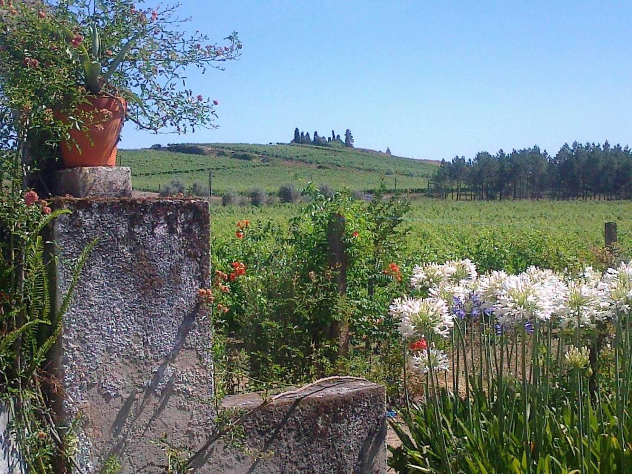 Gift card for Quinta no Pinhal