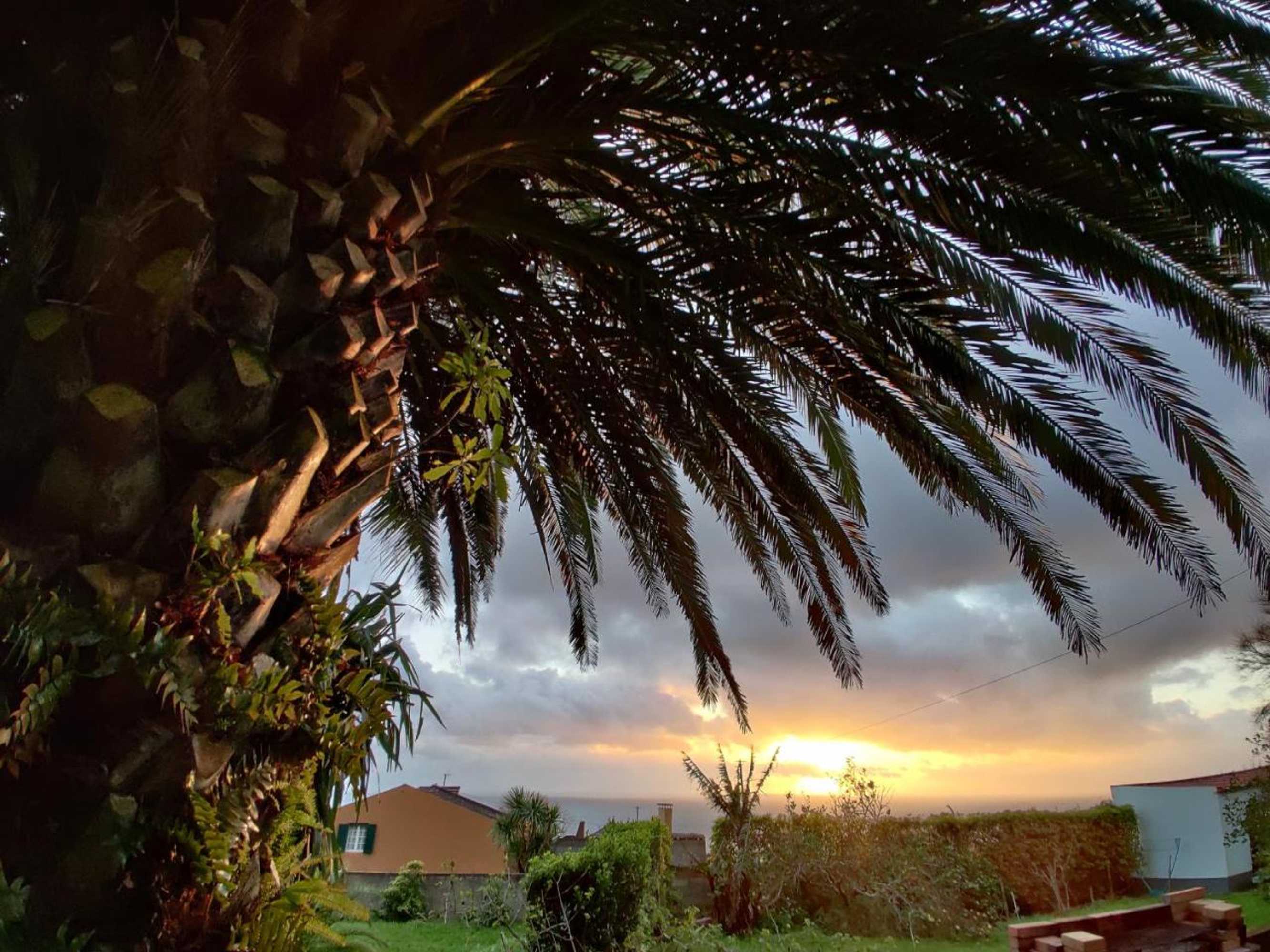 Gift card for Novovento