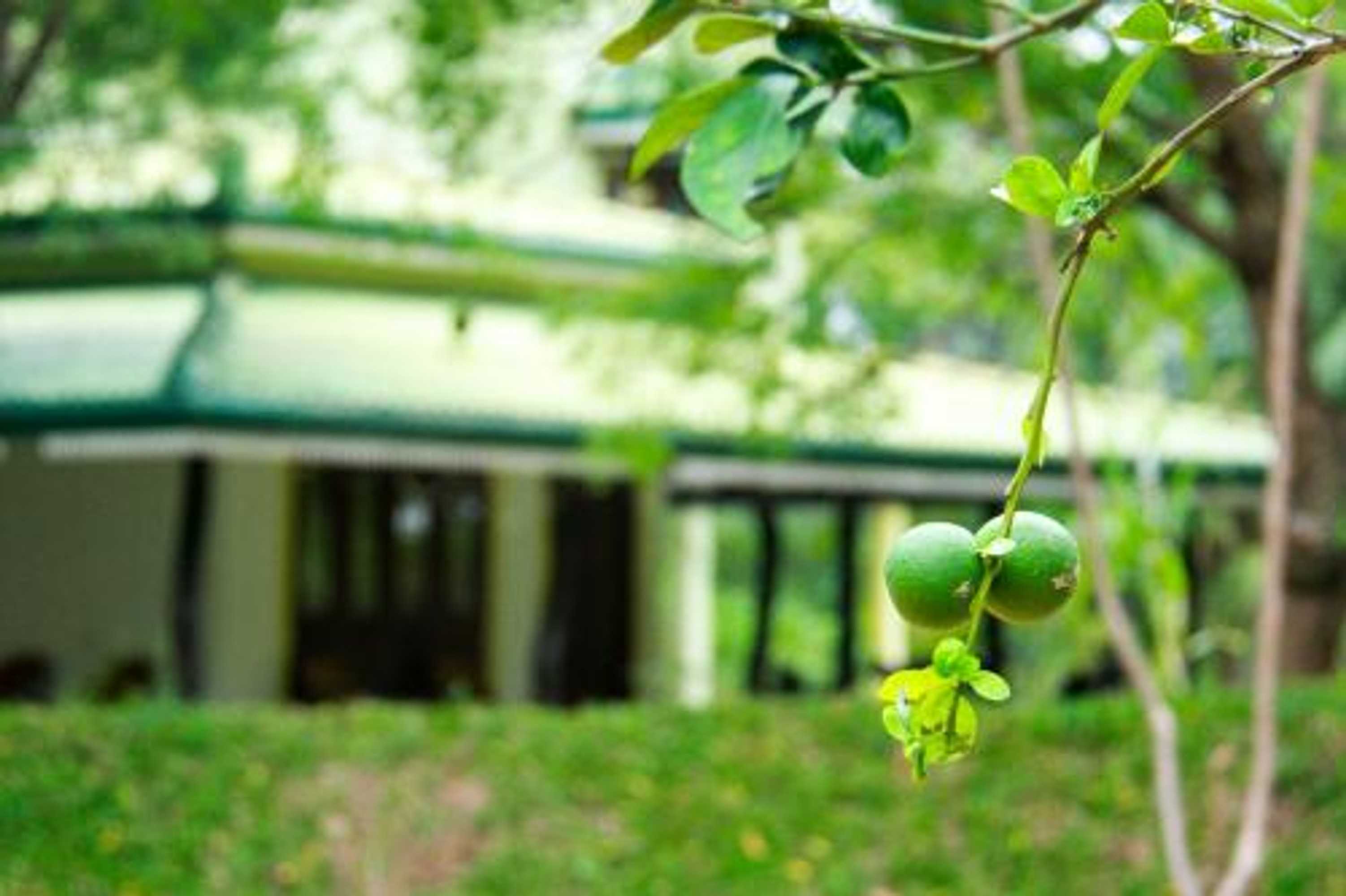 Gift card for Yala Way Hide Resort Gift card for Yala Way Hide Resort
