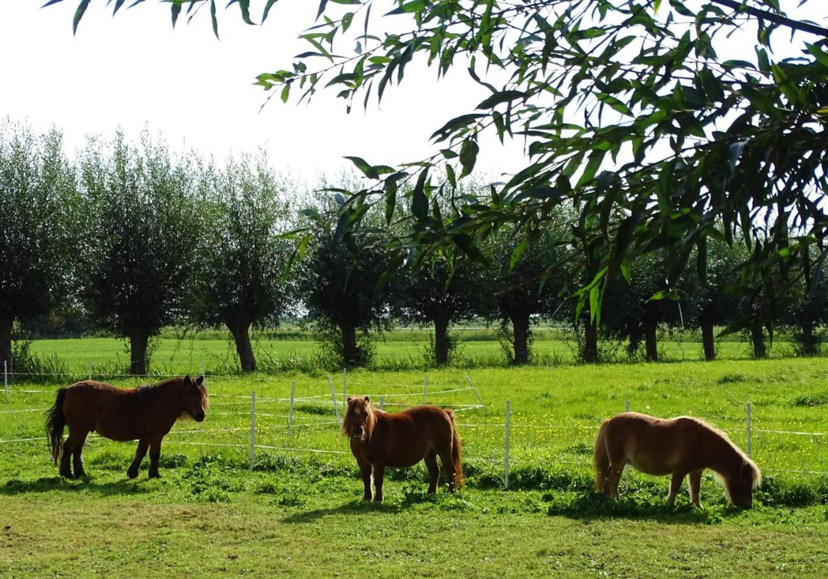 Gift card for De Oude Stoffeerderij