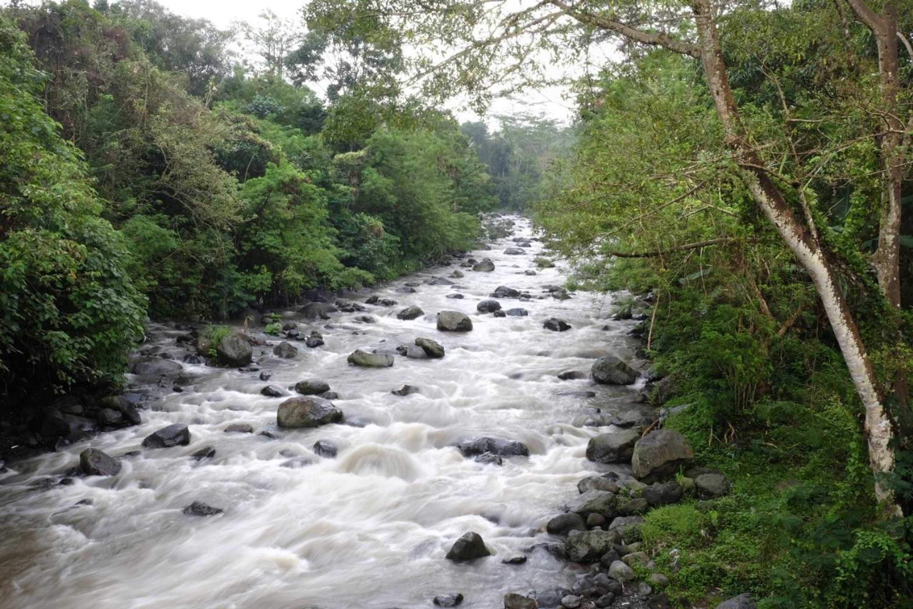 Gift card for Griya Valud