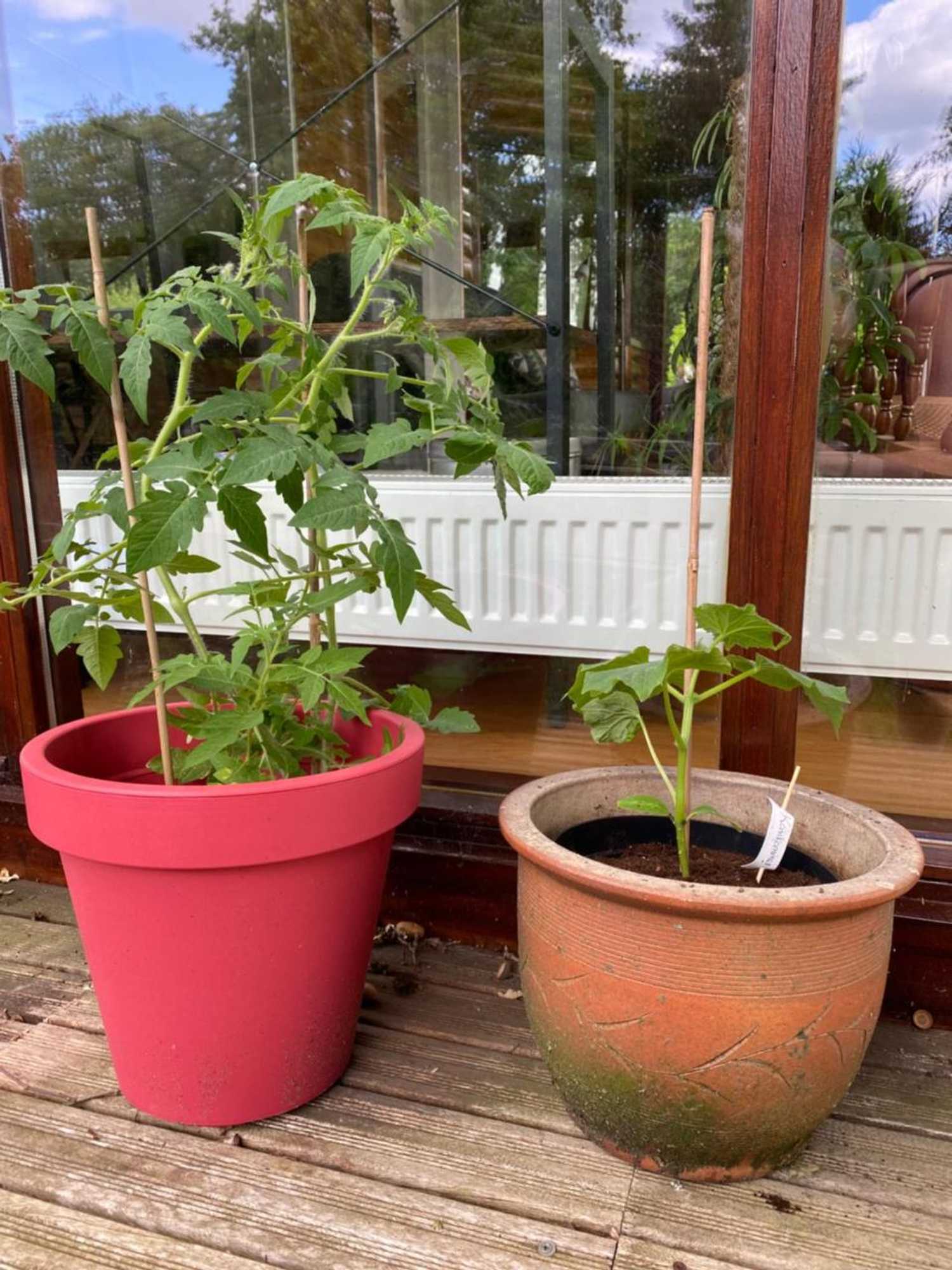 Gift card for Chalet de Kleine Eekhoorn