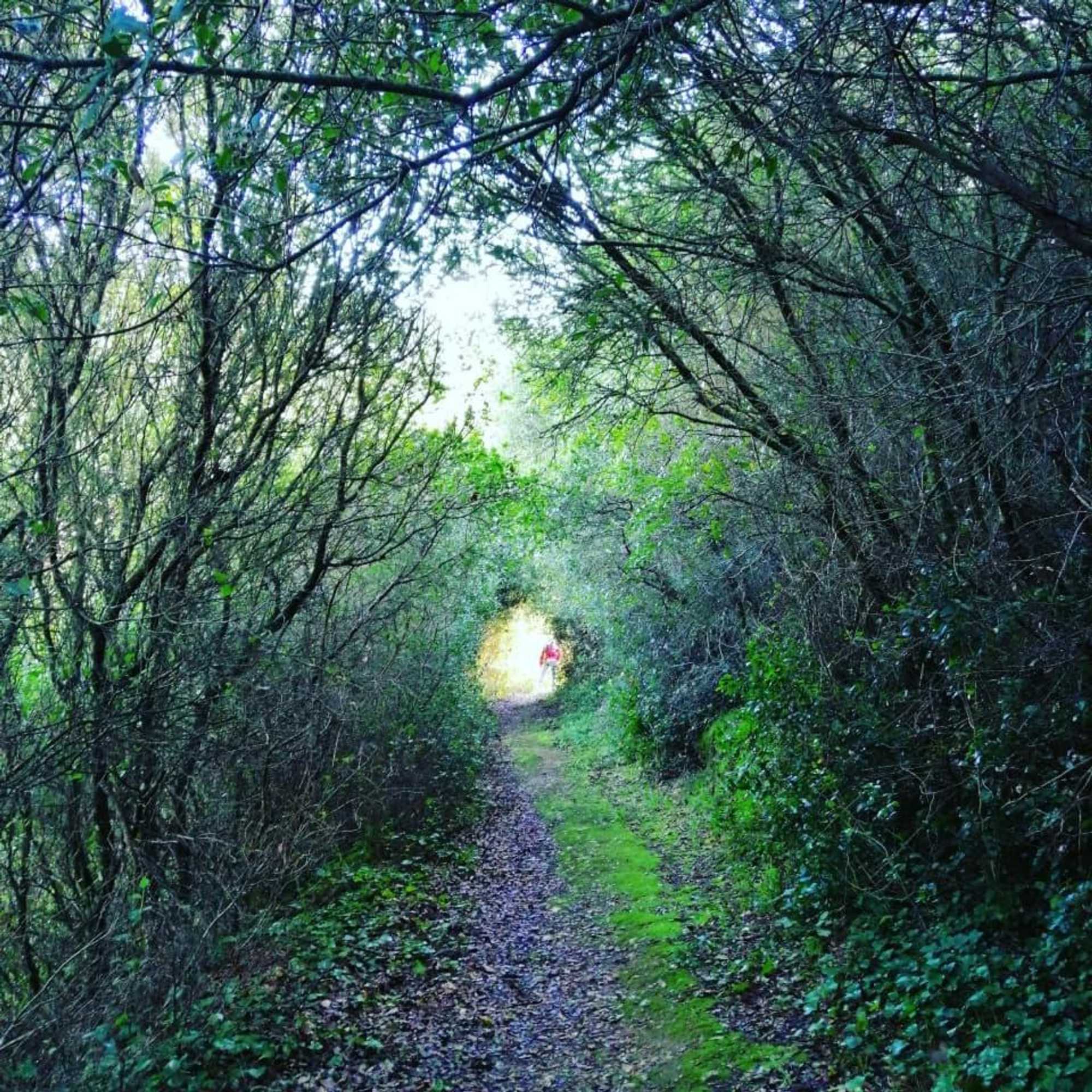 Gift card for Furnaka Village Ecosurf