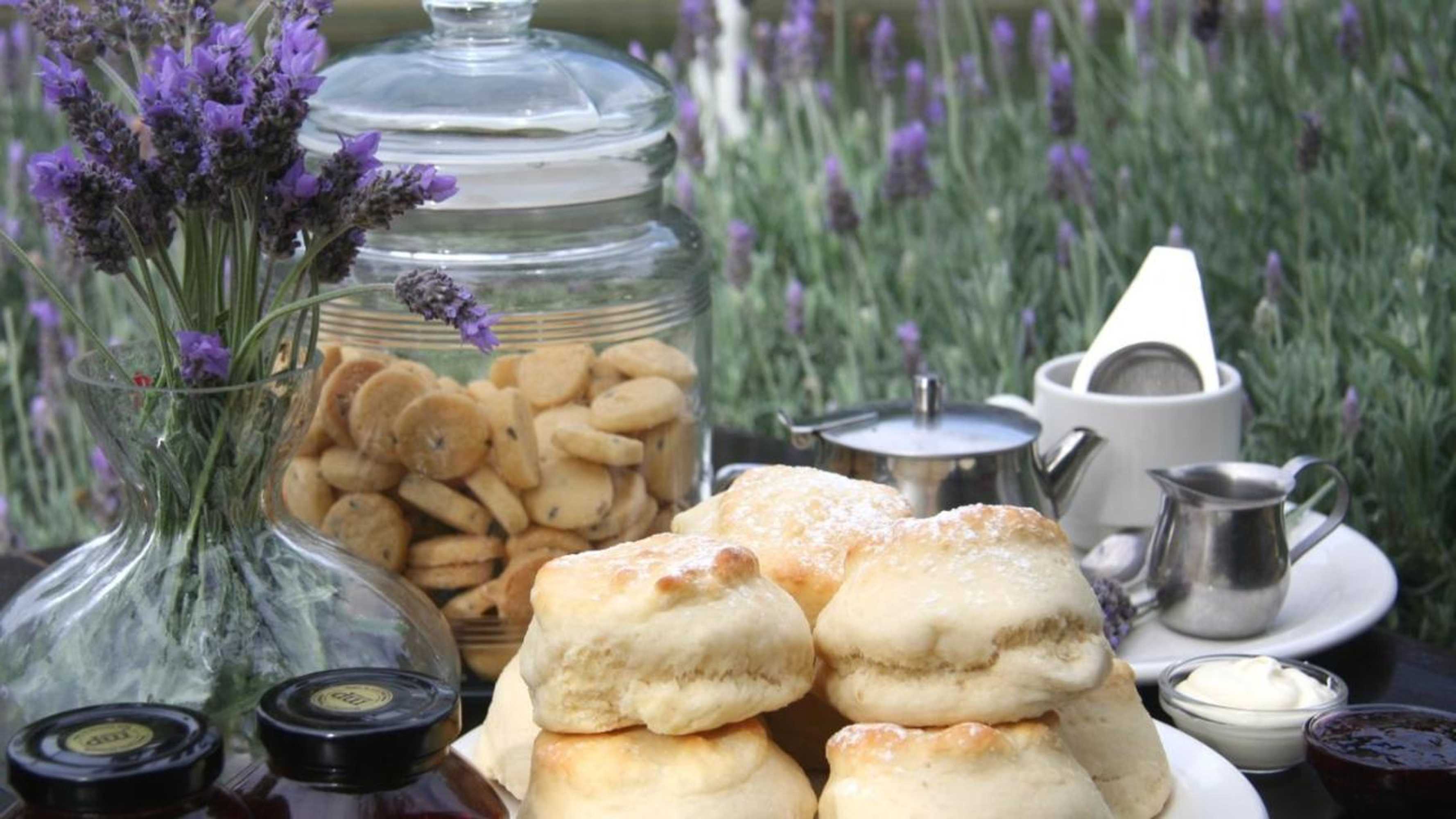 Gift card for Nautique Beach House