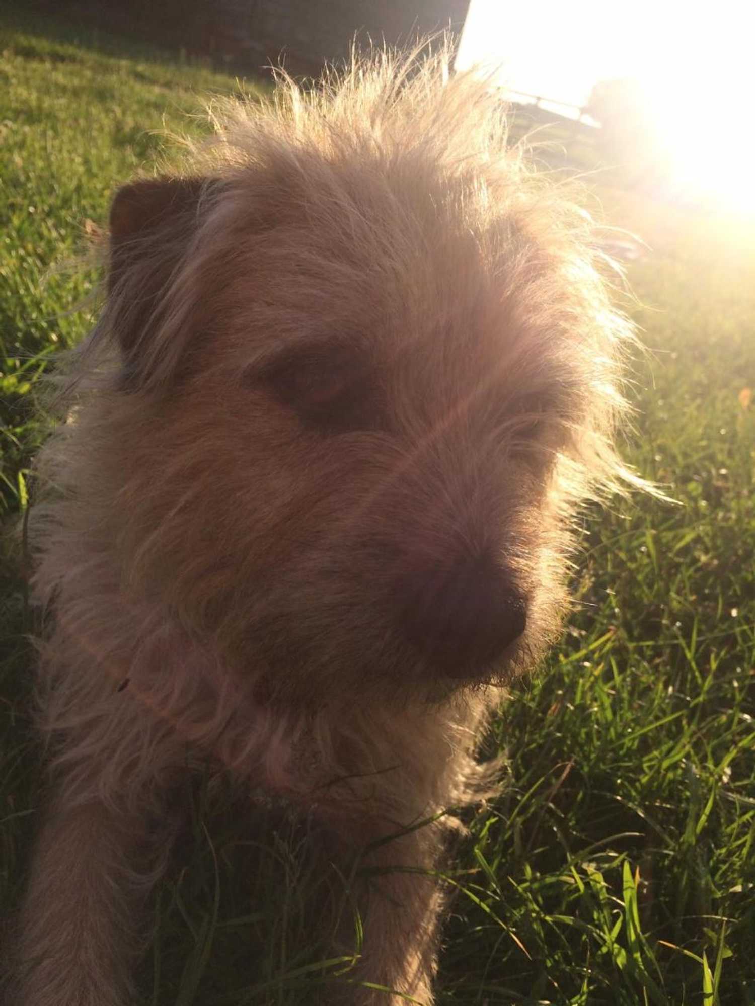 Gift card for Church Farm