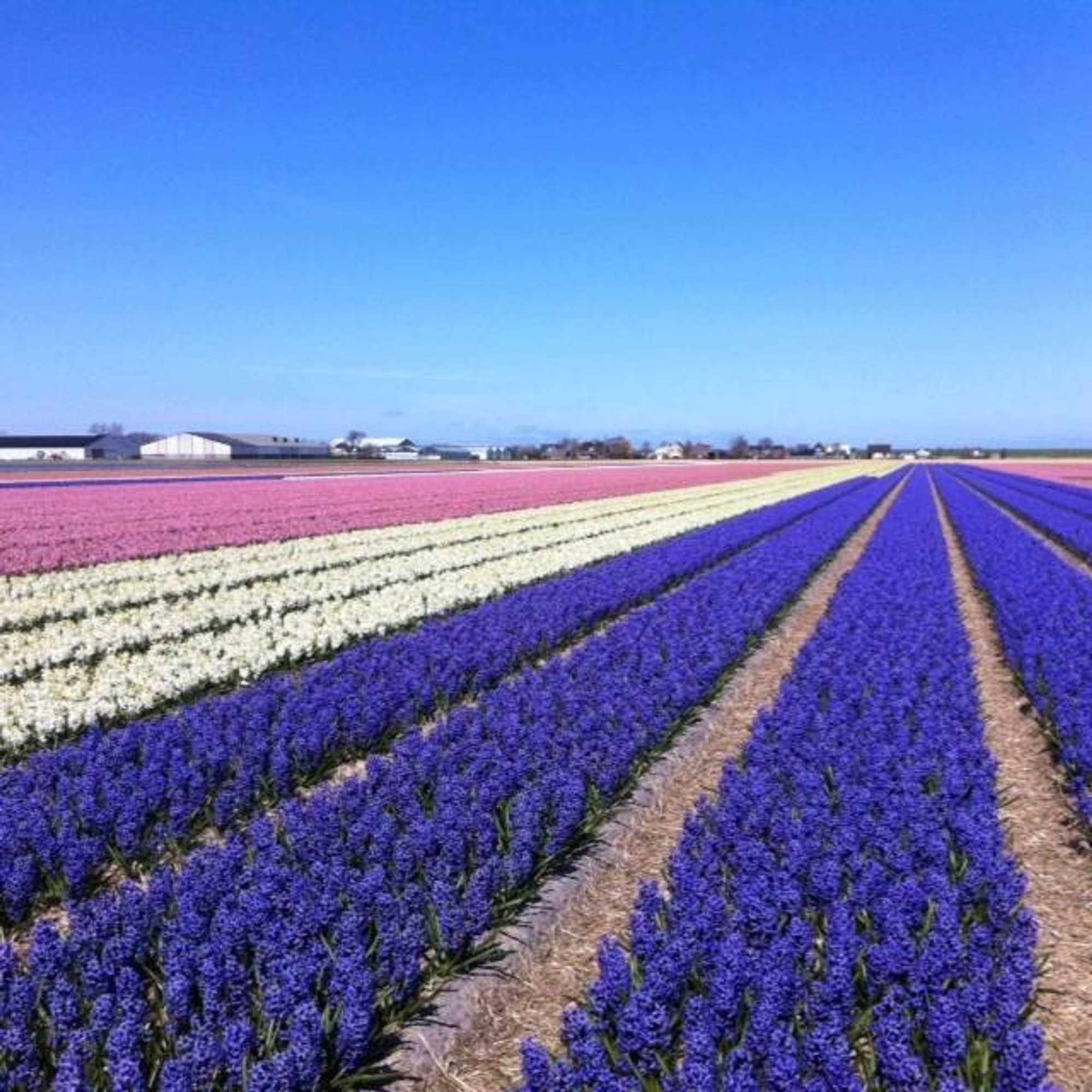 Gift card for Vakantiewoning Vrijburg