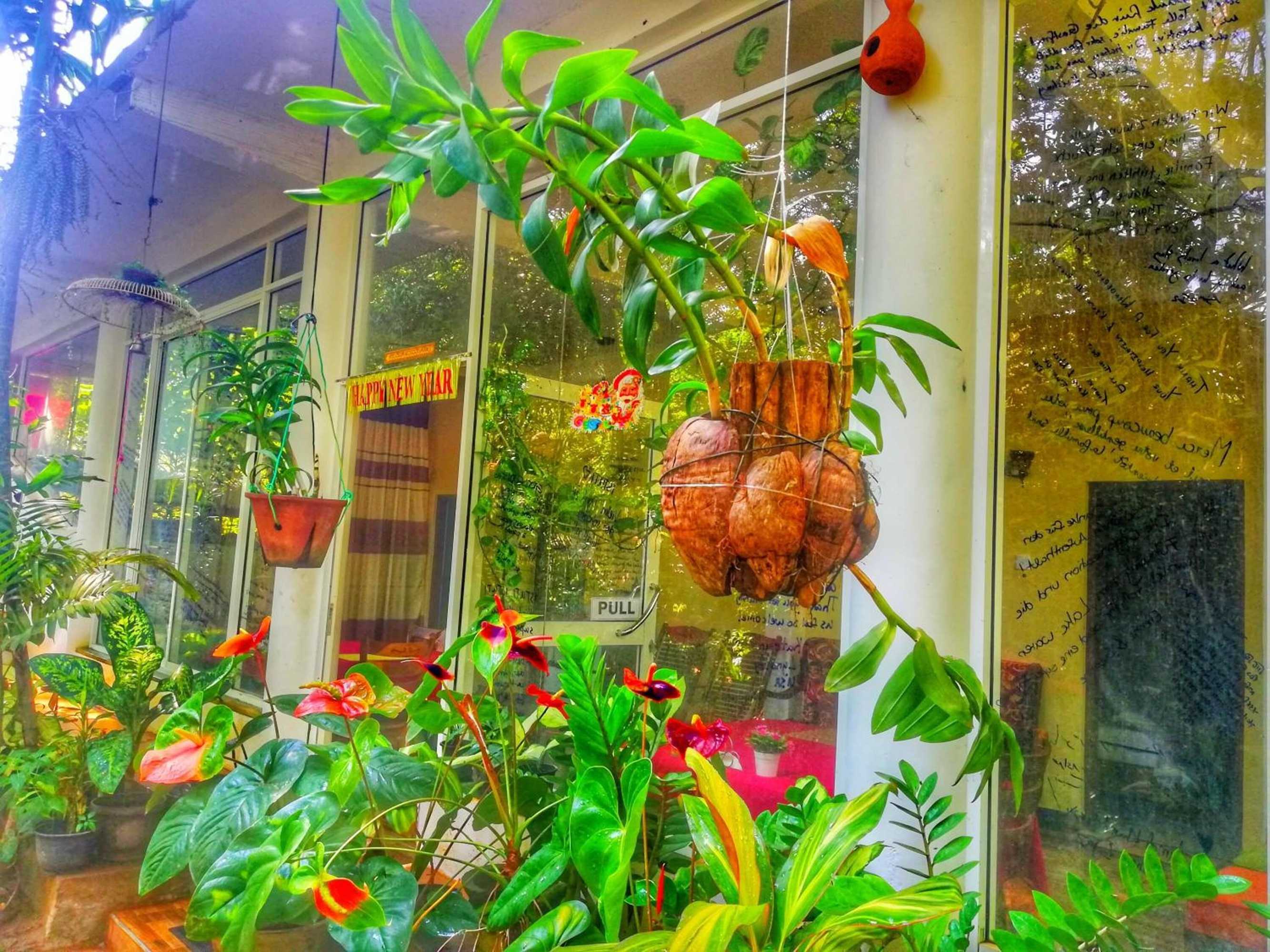 Gift card for Green Garden Resort