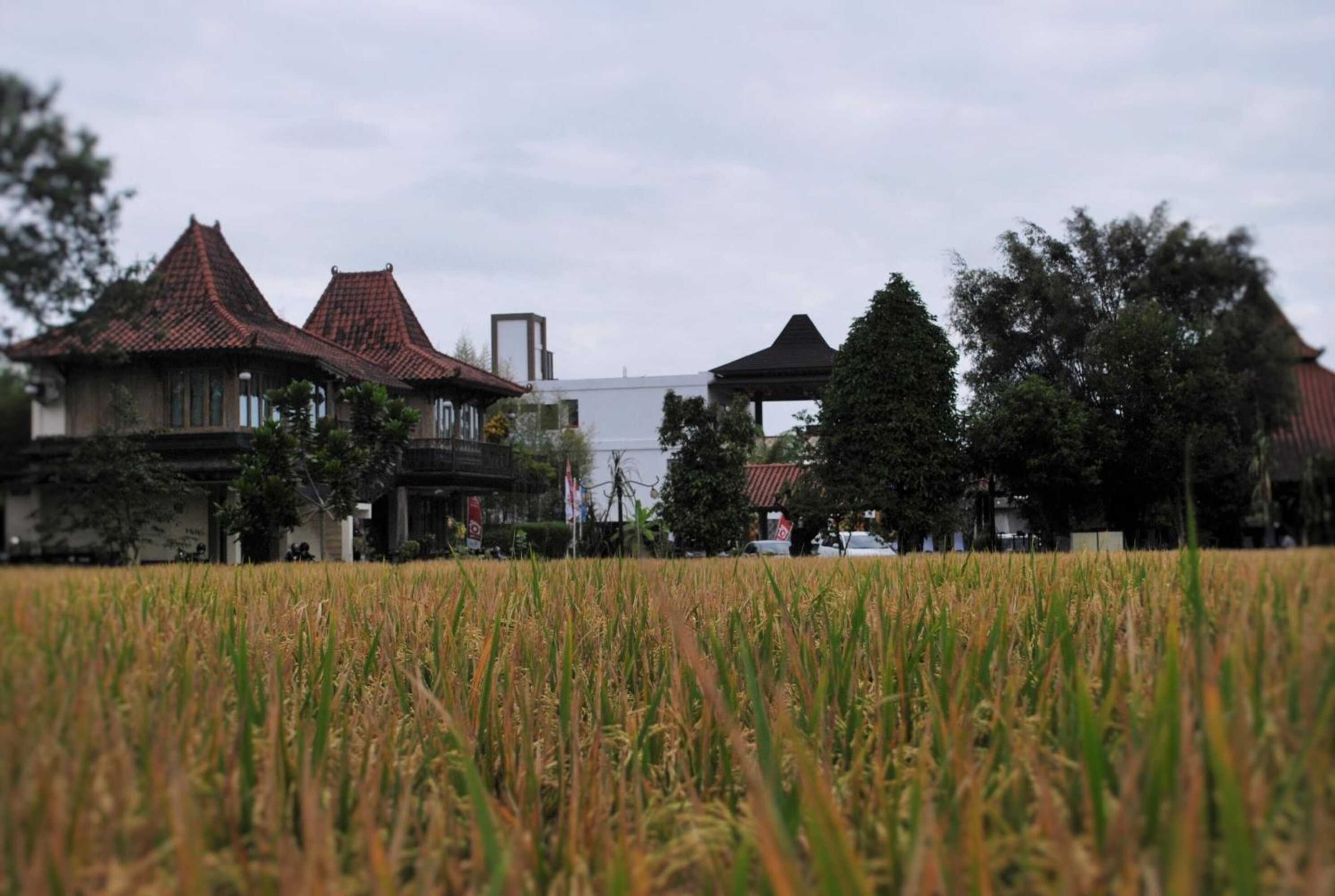 Gift card for Java Village Resort by Homee Yogyakarta Gift card for Java Village Resort by Homee Yogyakarta
